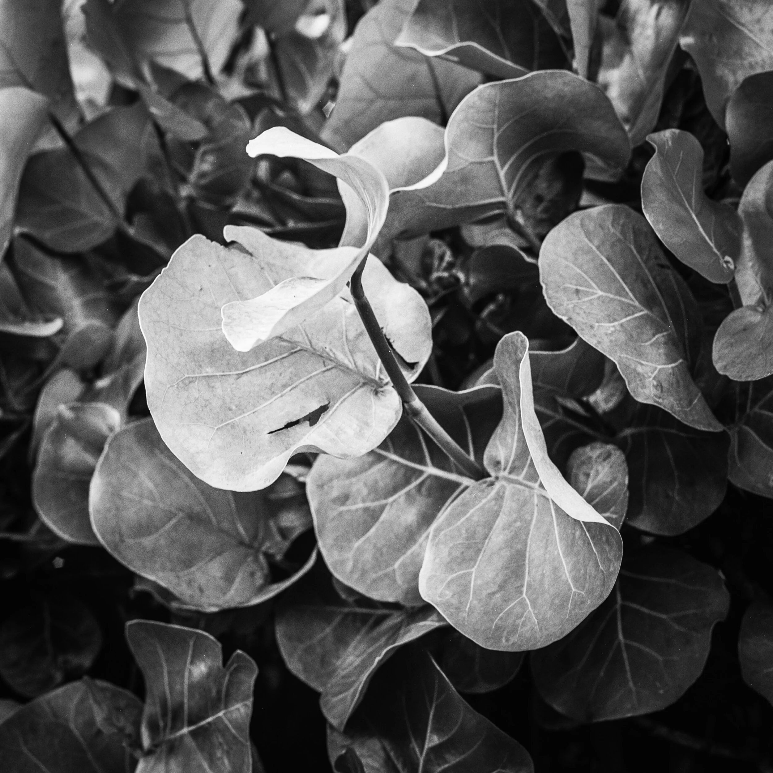 E4291028-9724-454E-AE9C-520EB313CE3E.jpeg