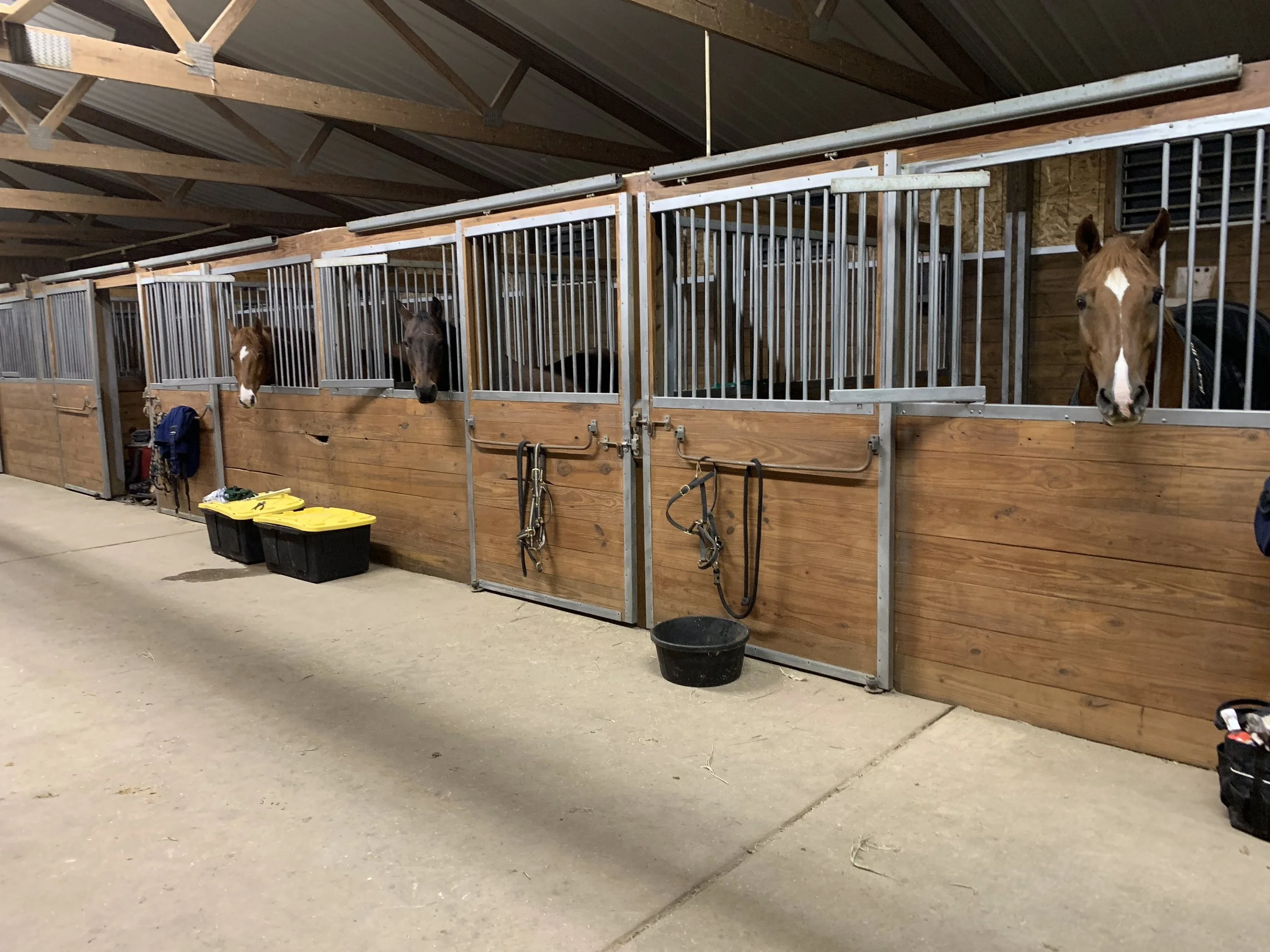 Coda Cavallo Barn-Warming Party and Open House