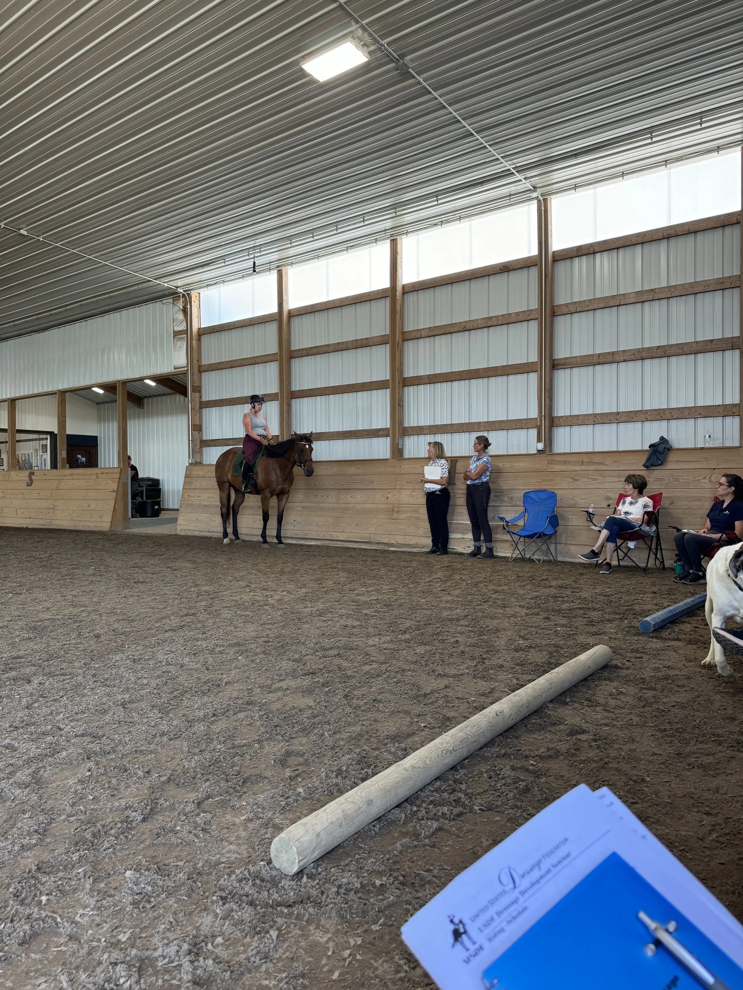 Coda Cavallo AA Rider, Cindy Jodis and Hard Knock Life