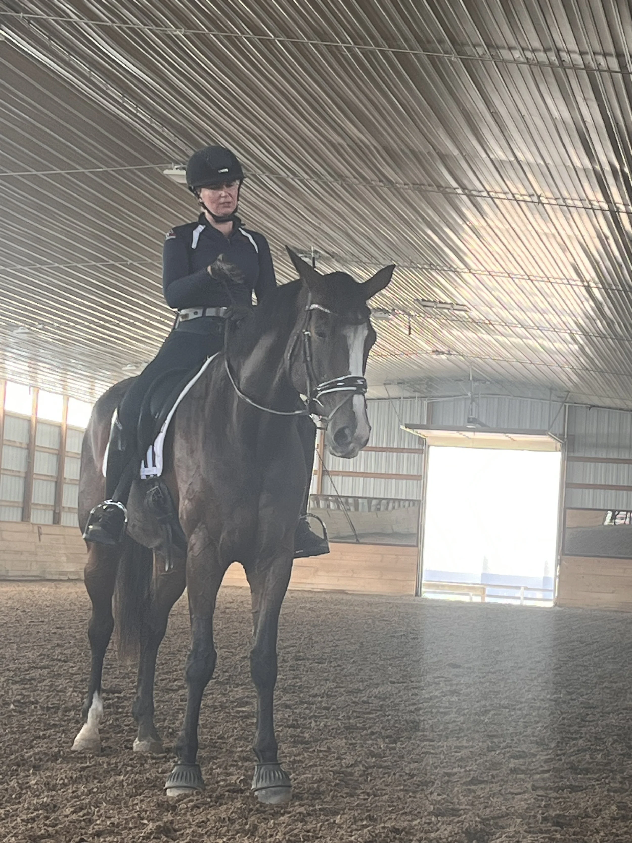 Noel Williams and Dior WF