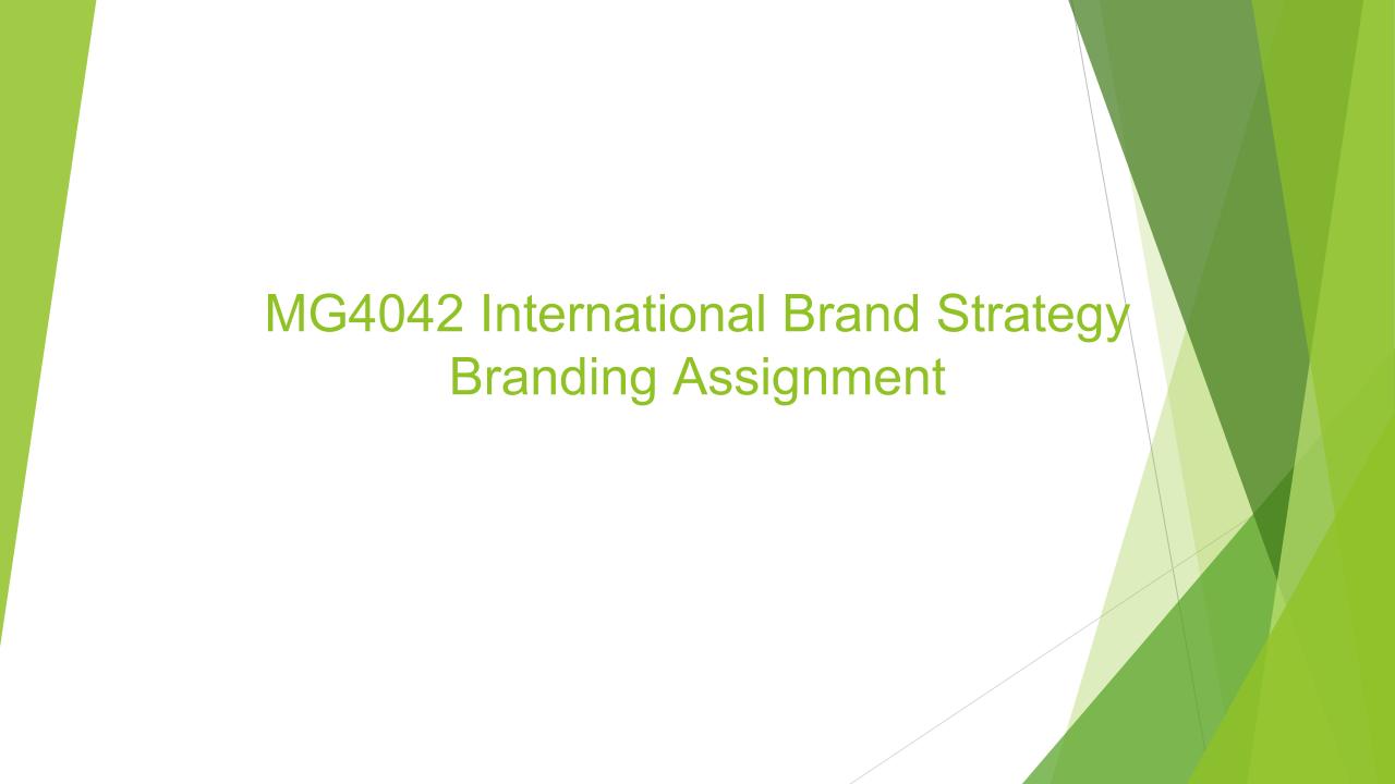 MG4042 International Brand Strategy Assignment.jpg