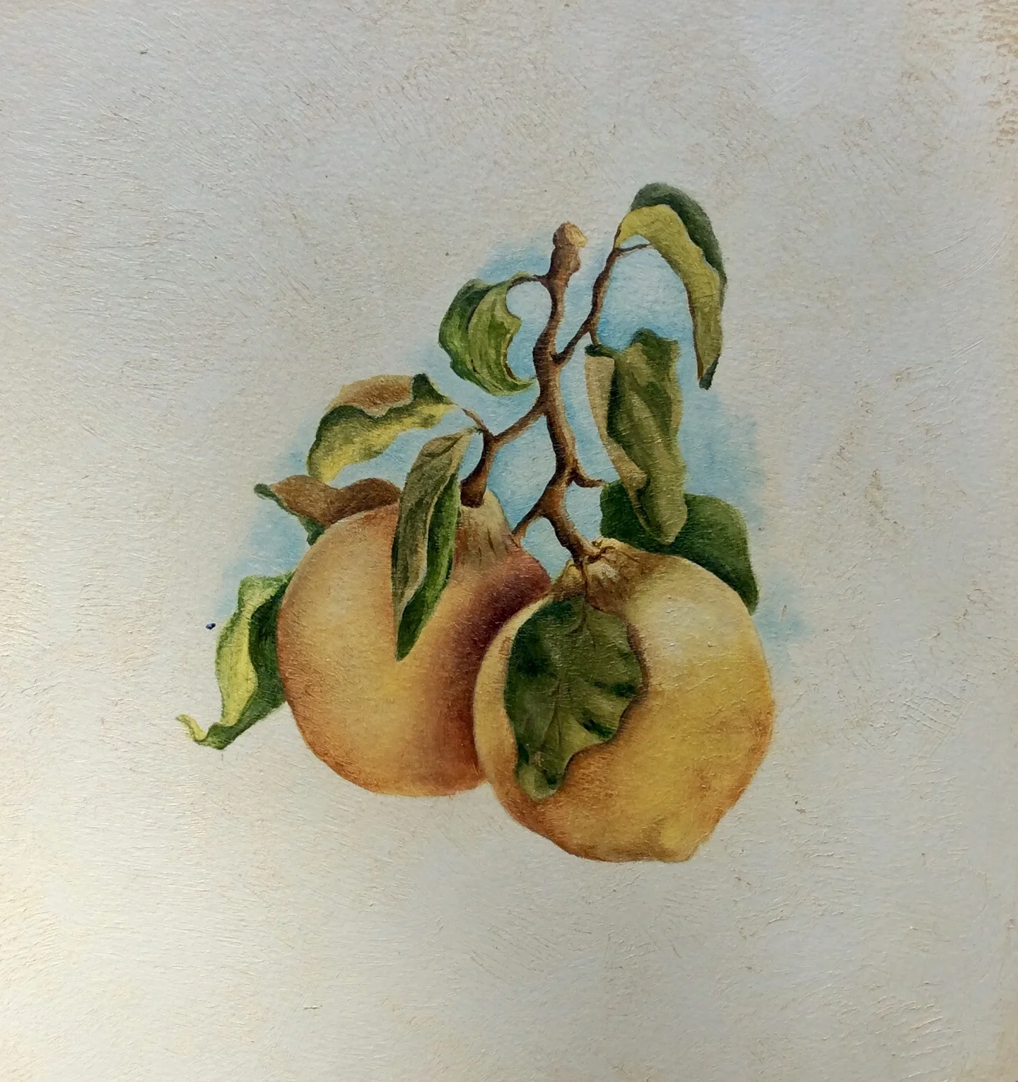 "Lemons" in oil paint
