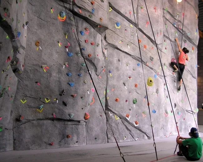 rock wall picture.jpg