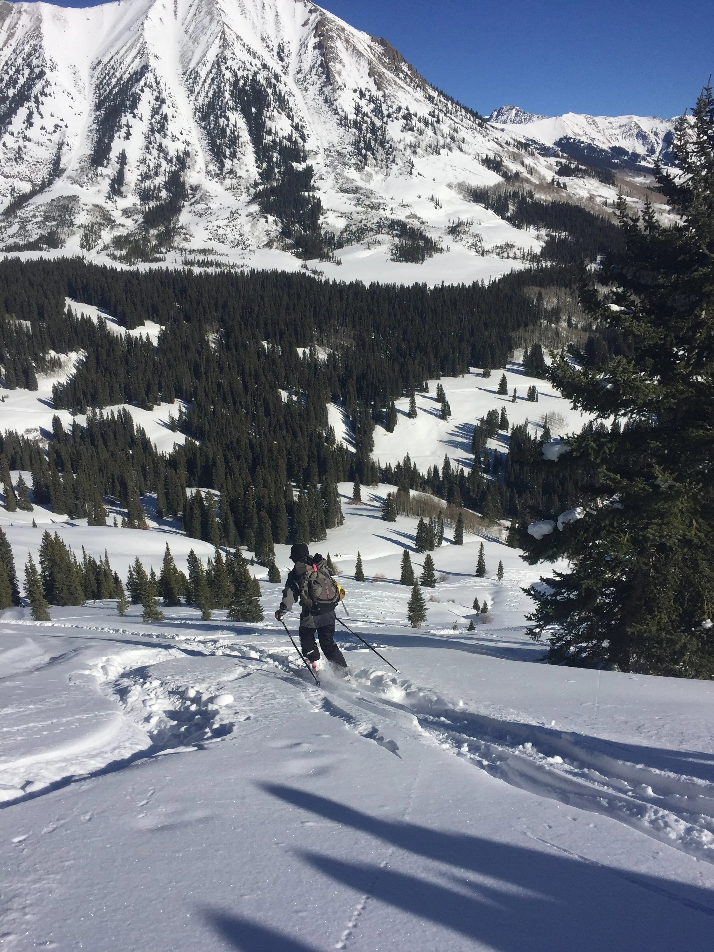 February 7:  Resilience