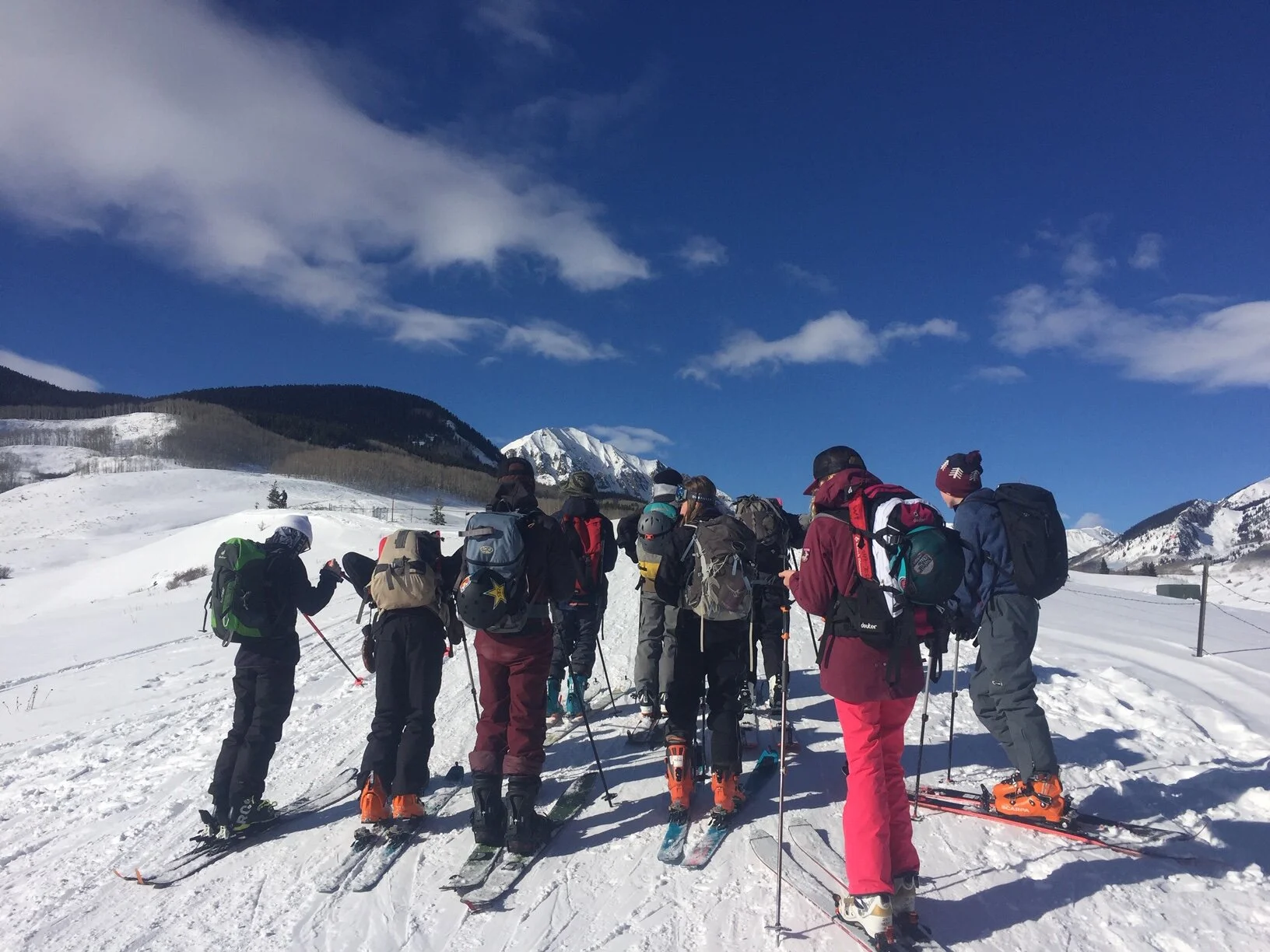 February 14: Bluebird Valentines 