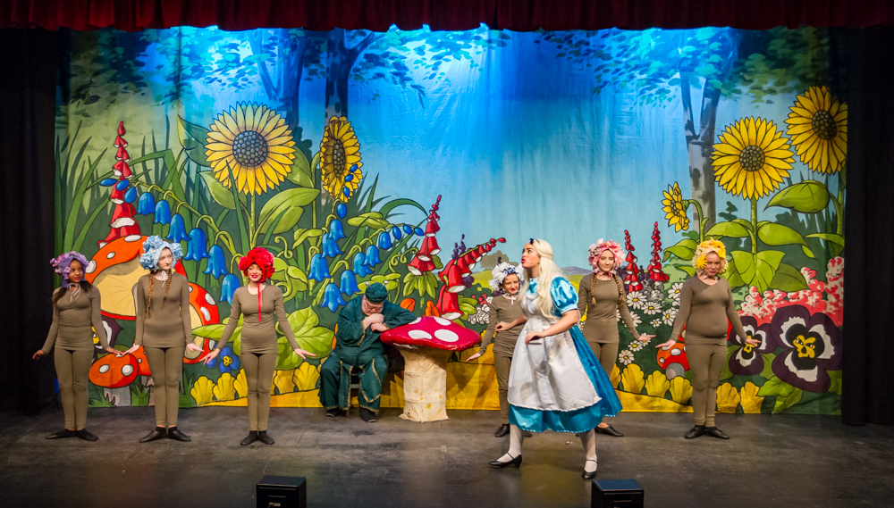 Alice In Wonderland (52 of 202).jpg