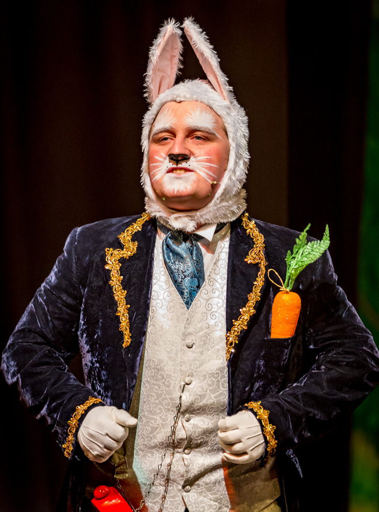 Alice In Wonderland (100 of 202).jpg