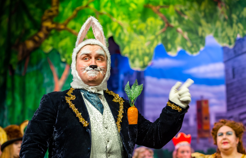 Alice In Wonderland (183 of 202).jpg