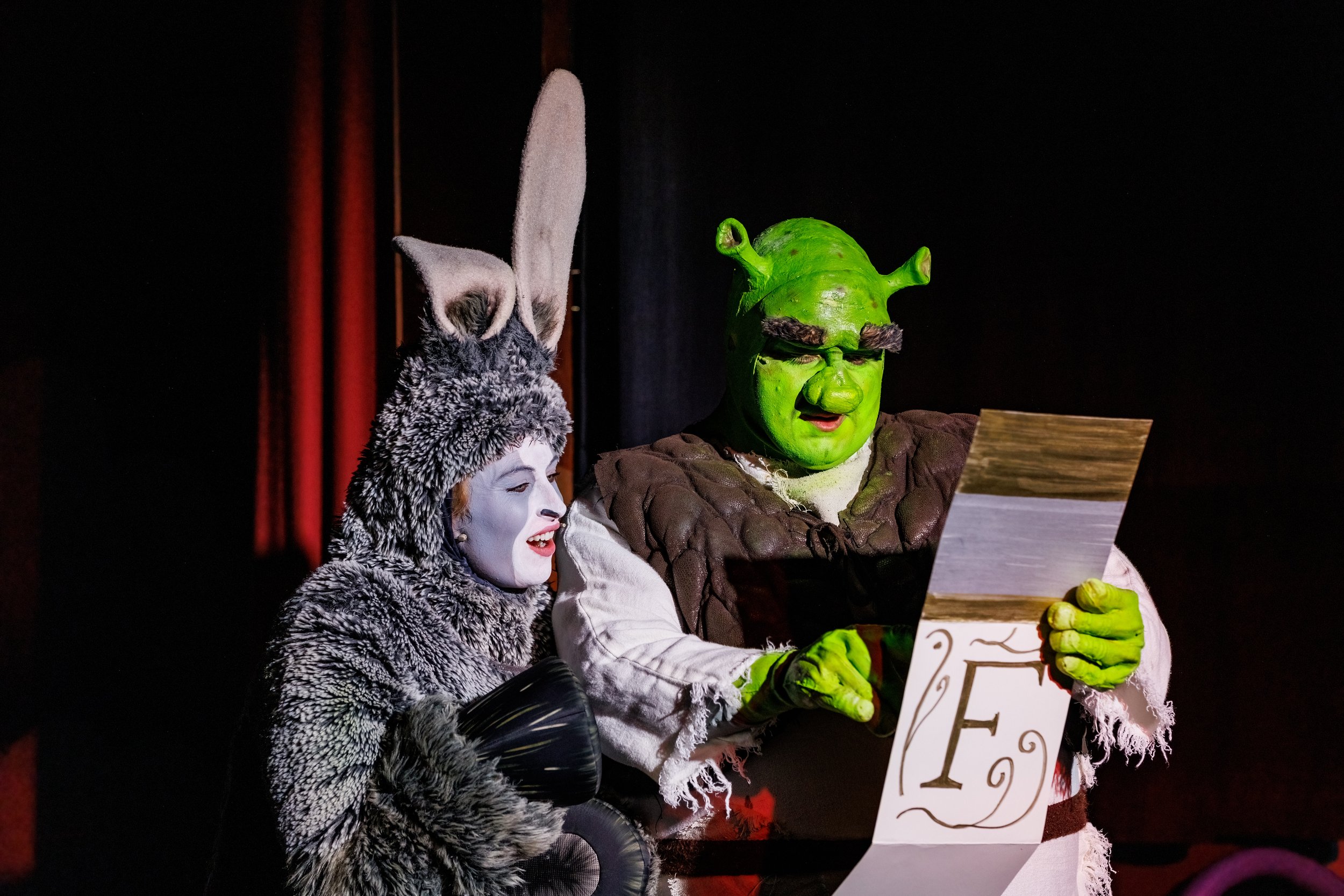 Dryburn - Shrek (15 of 59).jpg