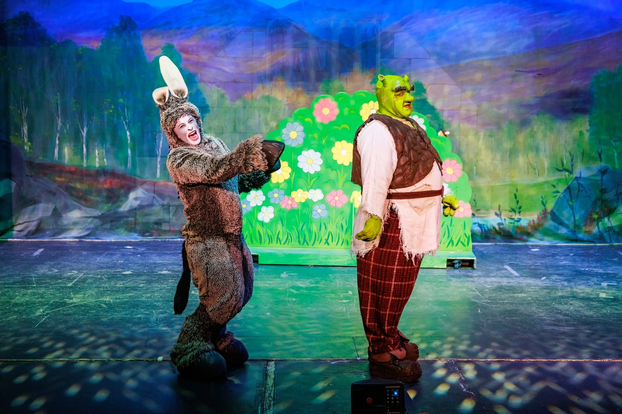 Dryburn - Shrek (20 of 59).jpg