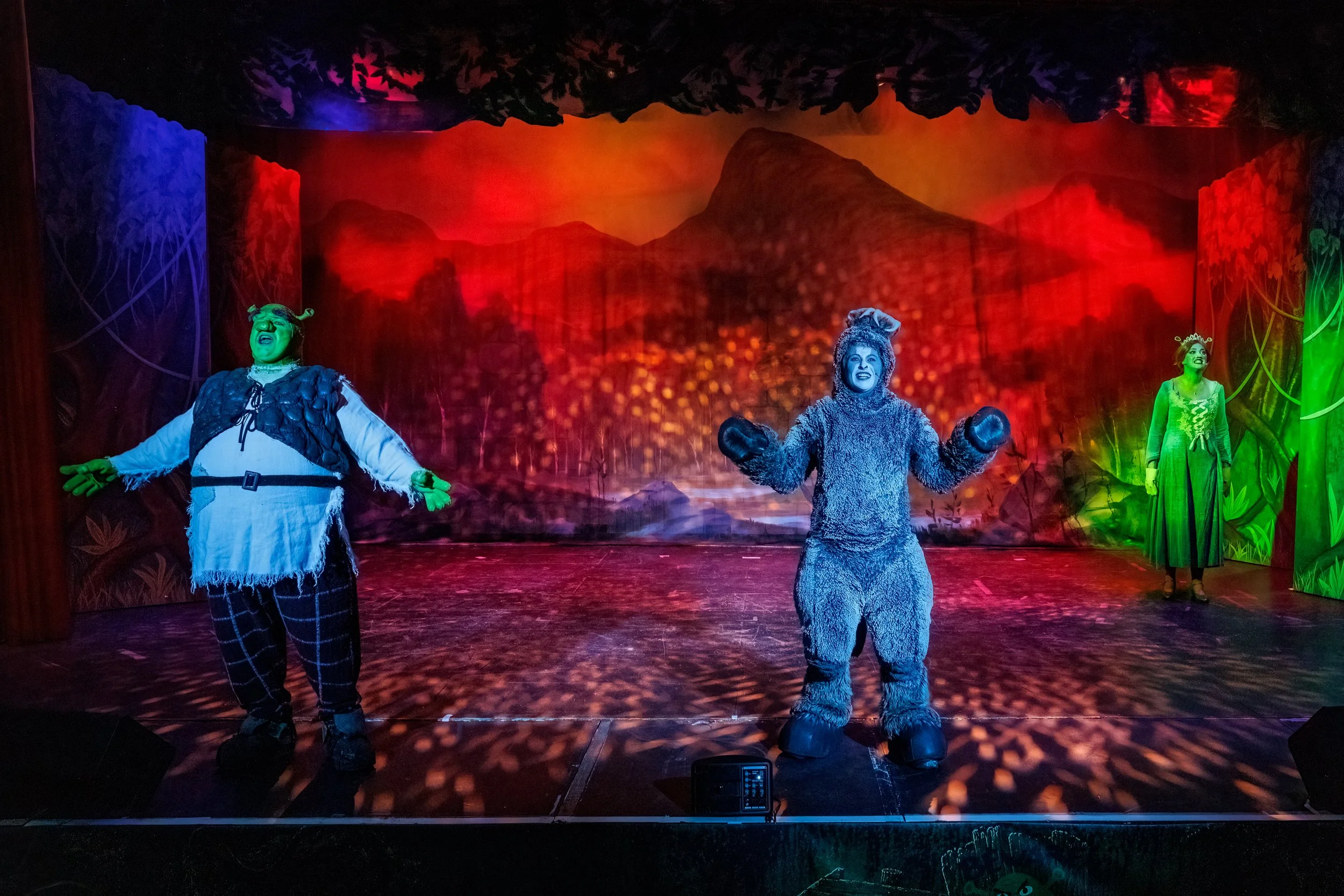 Dryburn - Shrek (29 of 59).jpg