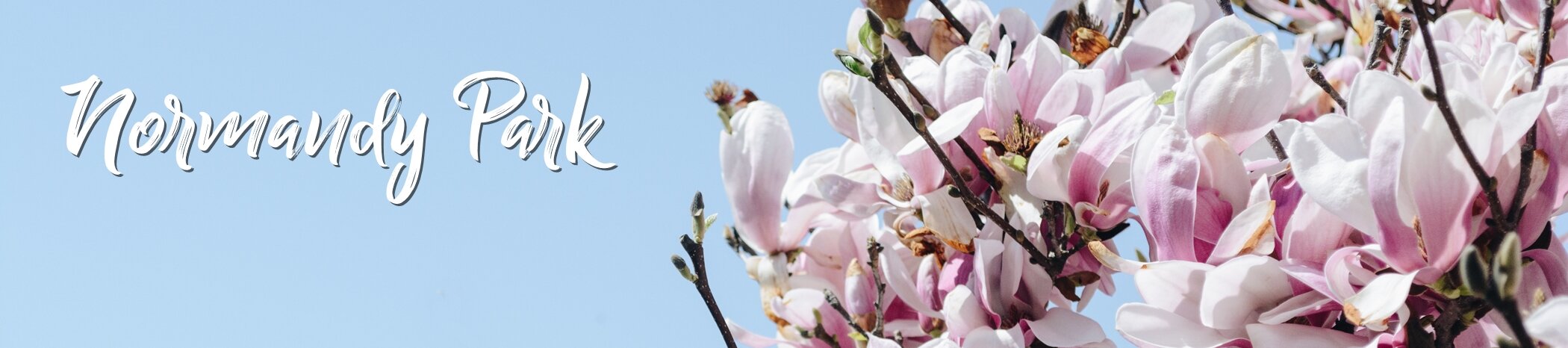 Normandy Park page header.jpg