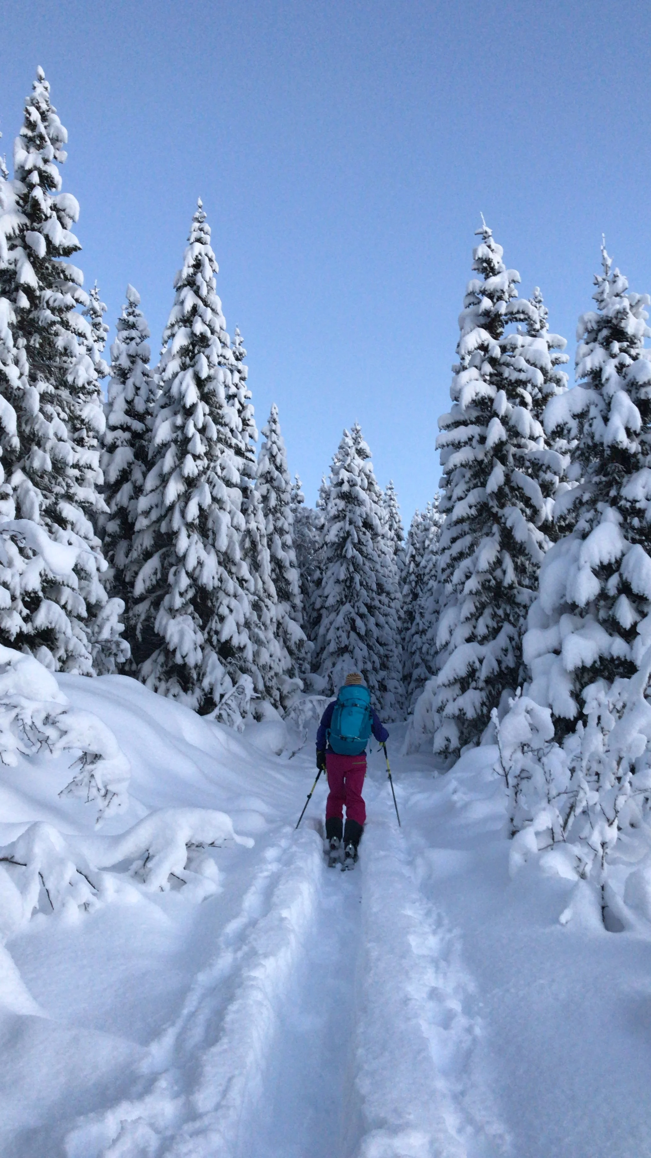 Bilde 08.12.2018, 10 38 40.jpg