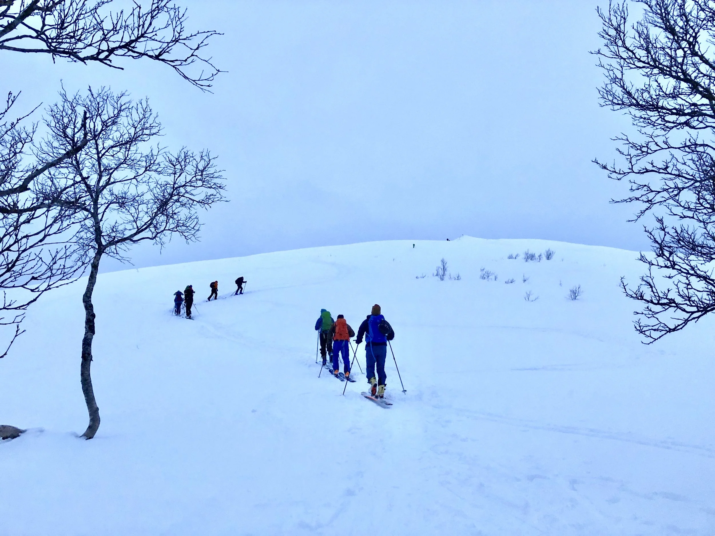 Tradisjon tro er det alltid topptur nyttårsaften. Noen ganger går turen tidlig på dagen, andre ganger på kvelden. Dette uansett vær, føre, med eller uten ski.I år var det flere hensyn som måtte tas, så turmålet ble Rødtinden, ikke så langt å kjøre, …