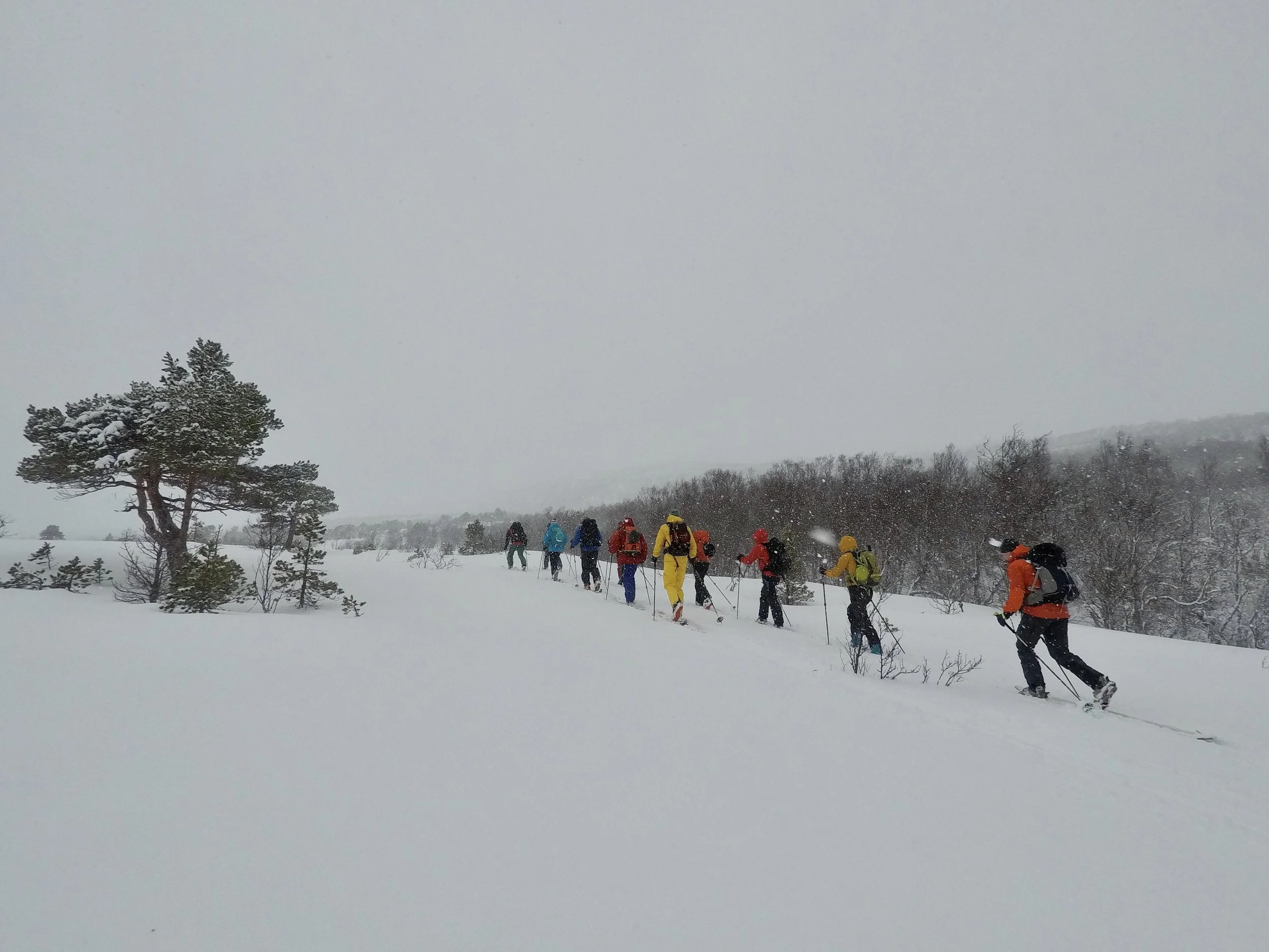 Traff på et annet turfølge fra båten, de skulle bare «læpse» i skogen