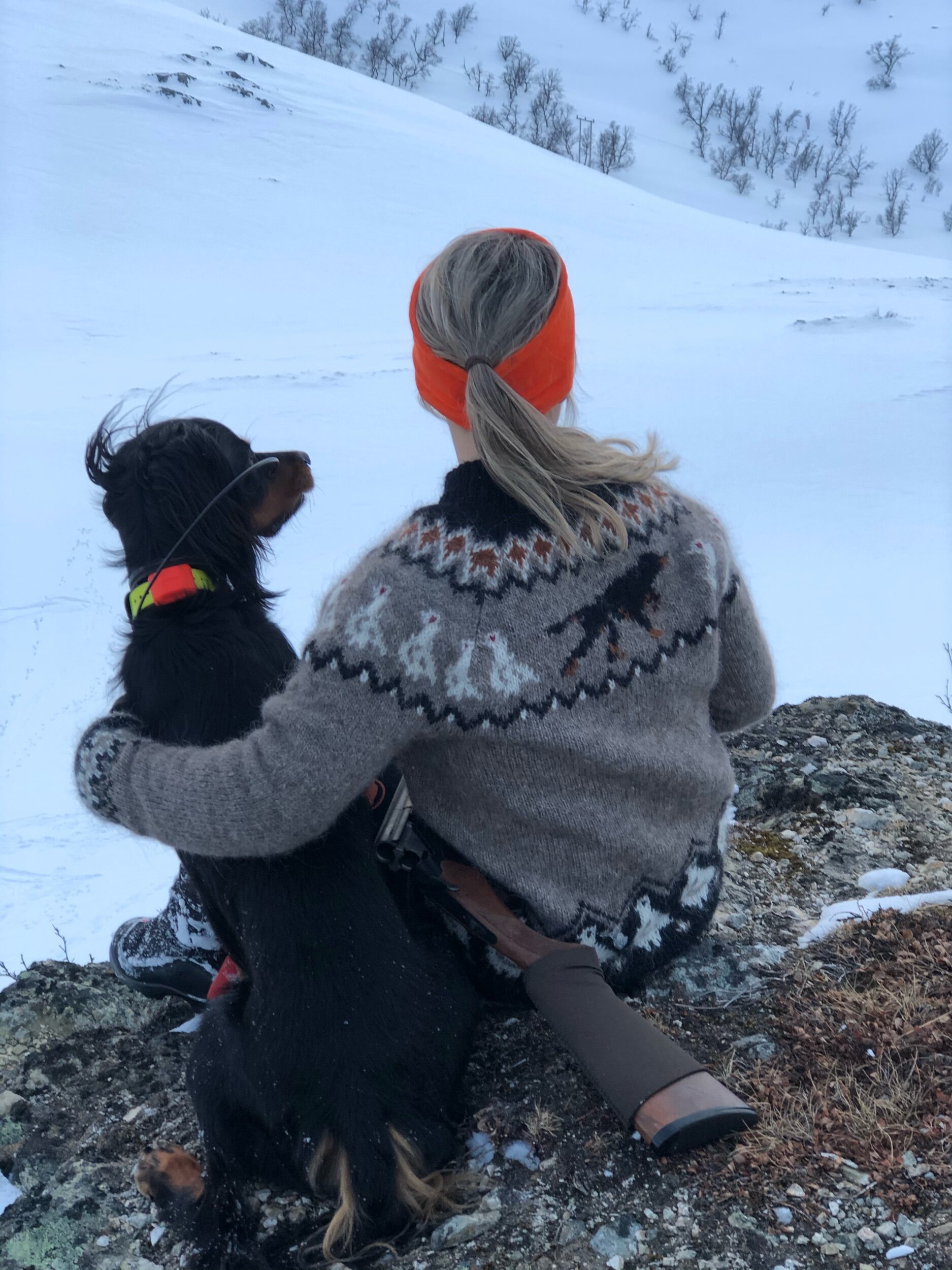 Småviltgenseren — Pudderpiken Småviltgenseren — Pudderpiken