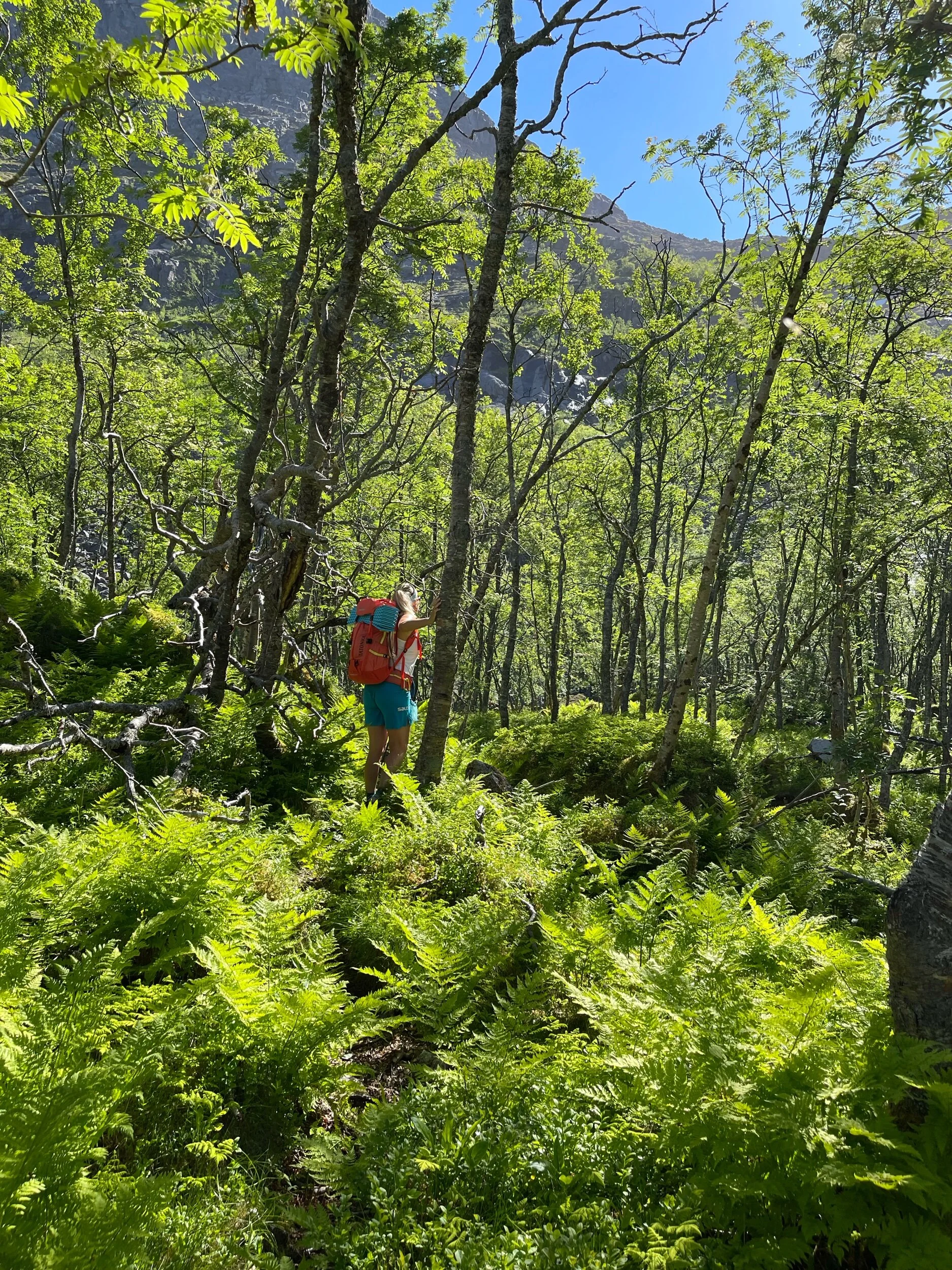 Litt overgrodd, men stien er fortsatt tydelig