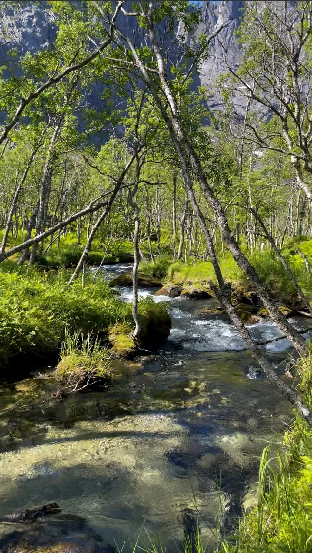 Elva som bukter seg ned mot havet