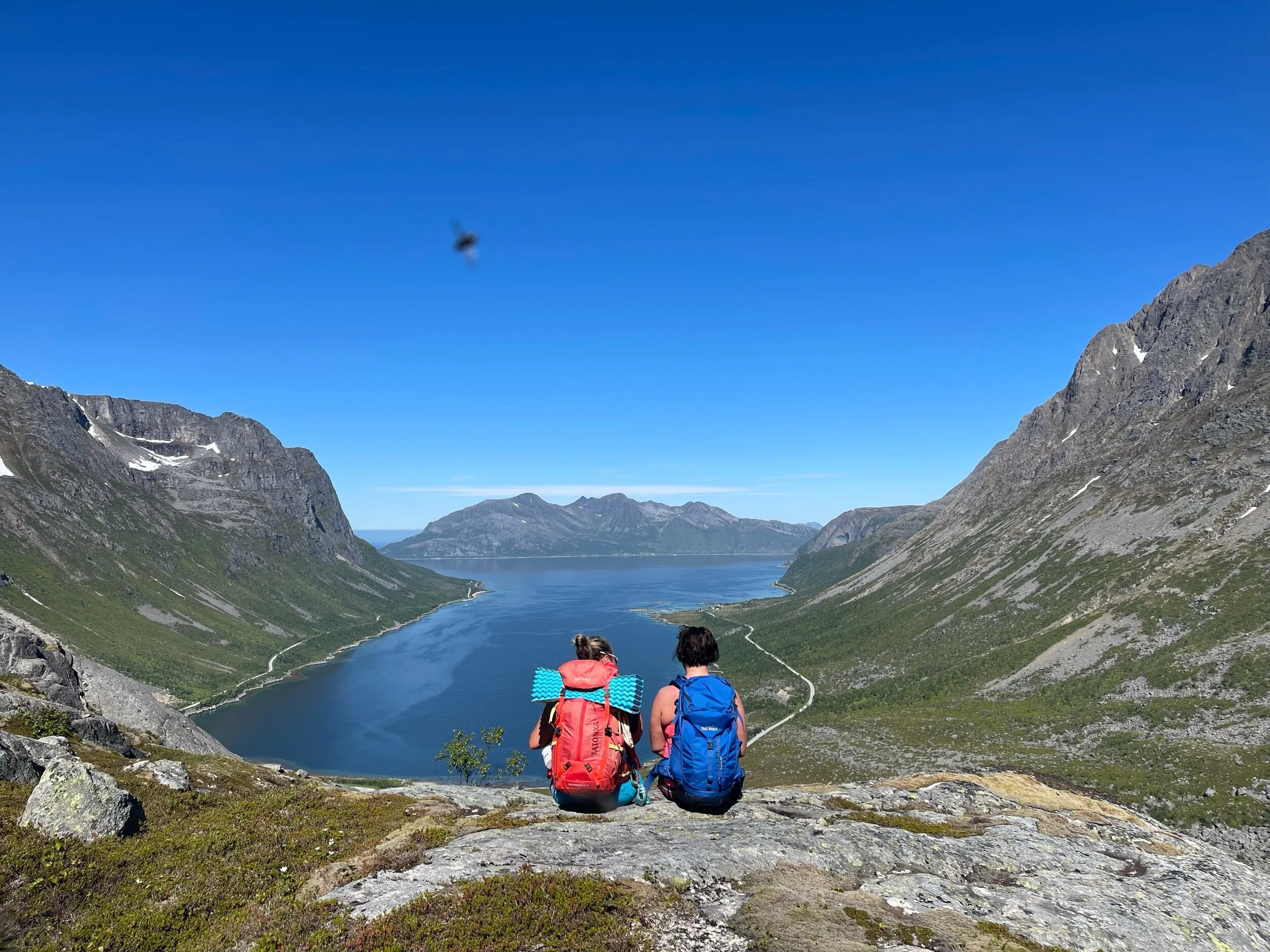 Fluene hang fortsatt etter svette turfolk og ville være med på bildet 😁