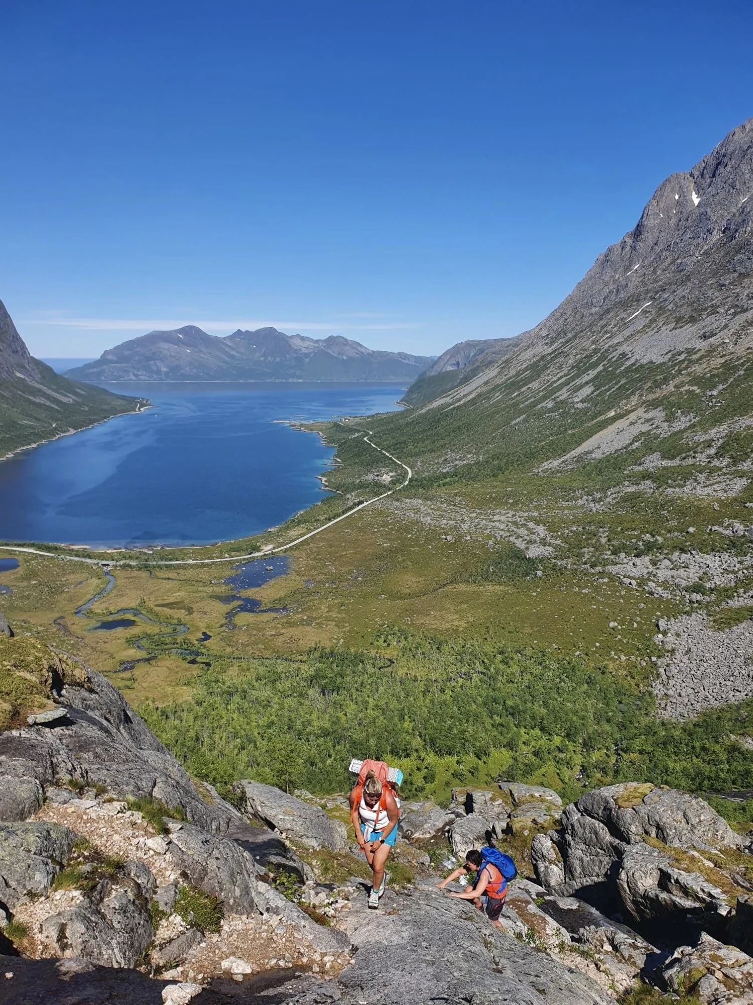 Endelig over skog og kratt