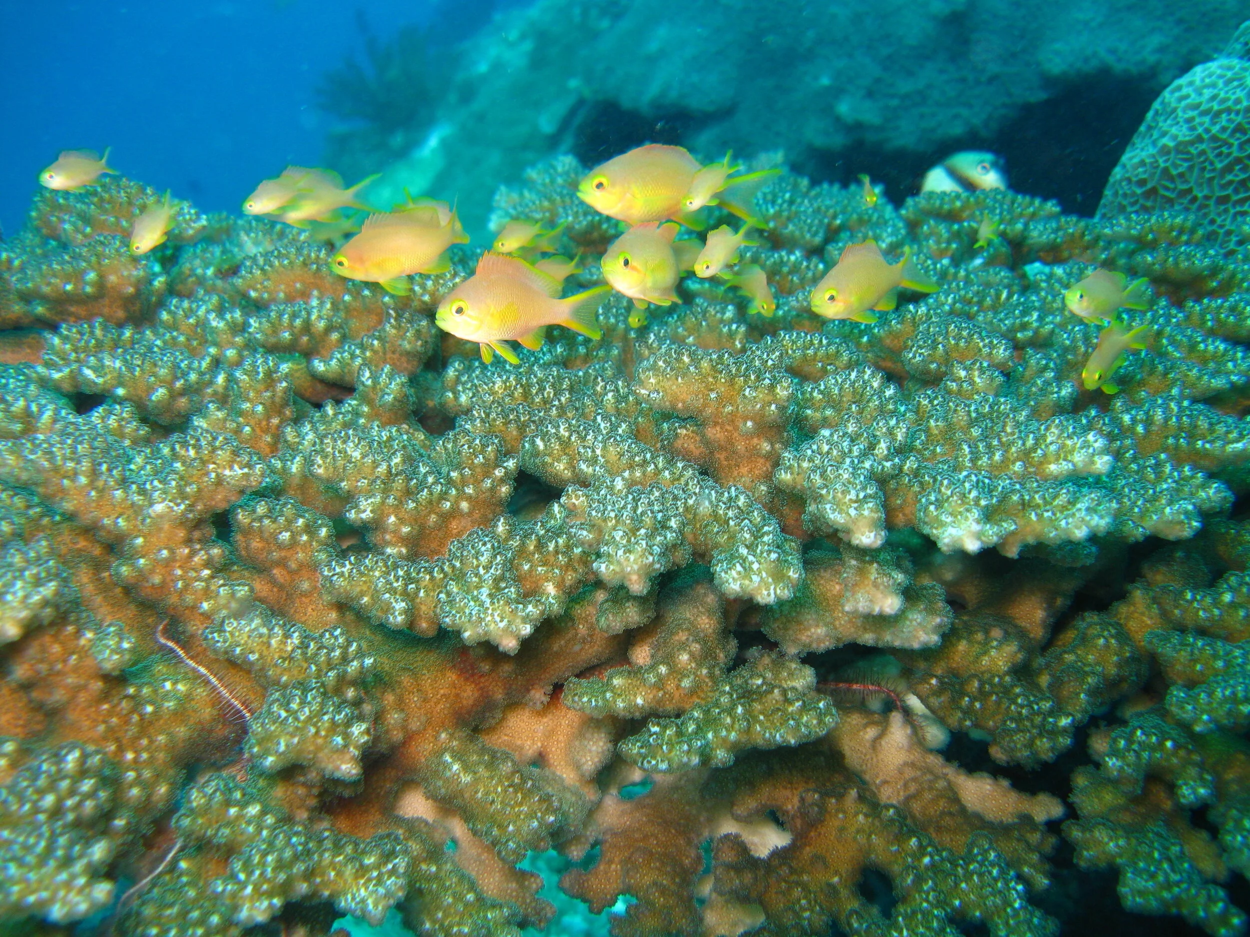 Marine motions for WCC Learn more