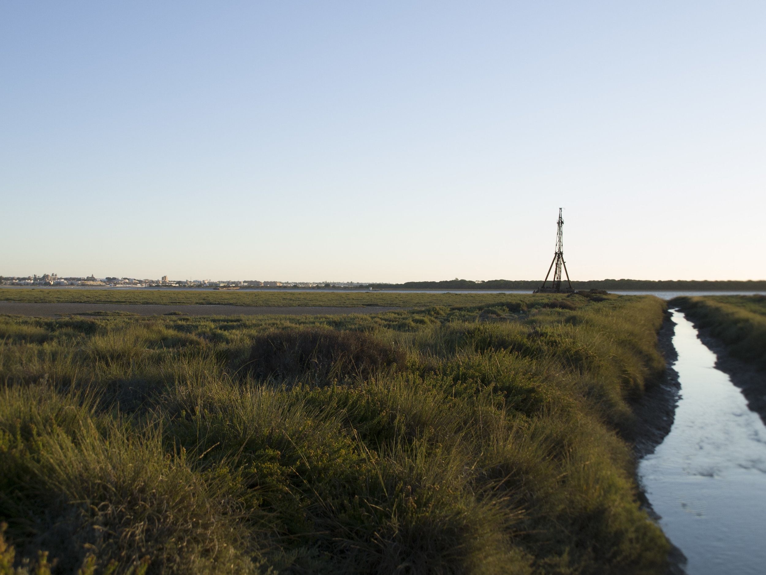 Parque Natural de Doñana a 200 metros