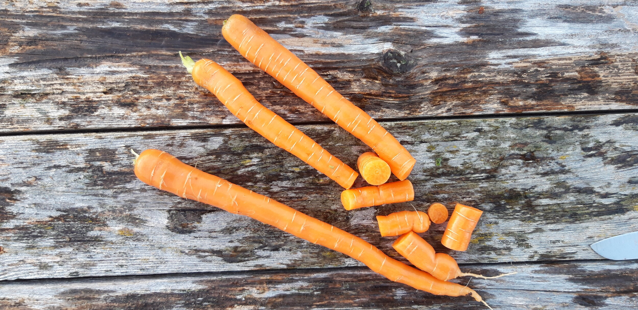 Zanahoria Amsterdam 2,20 €