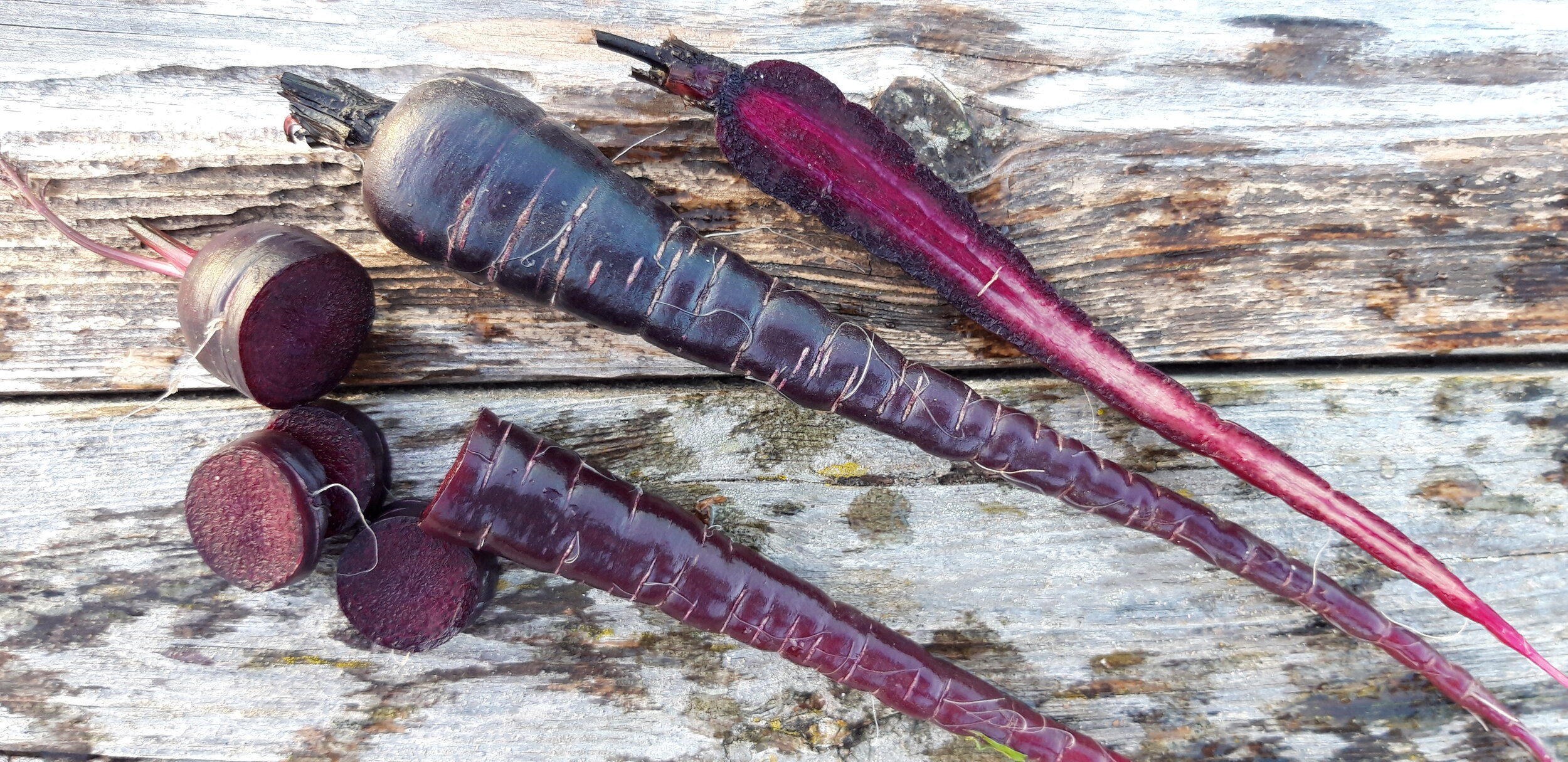 Zanahoria Negra 2,20 €