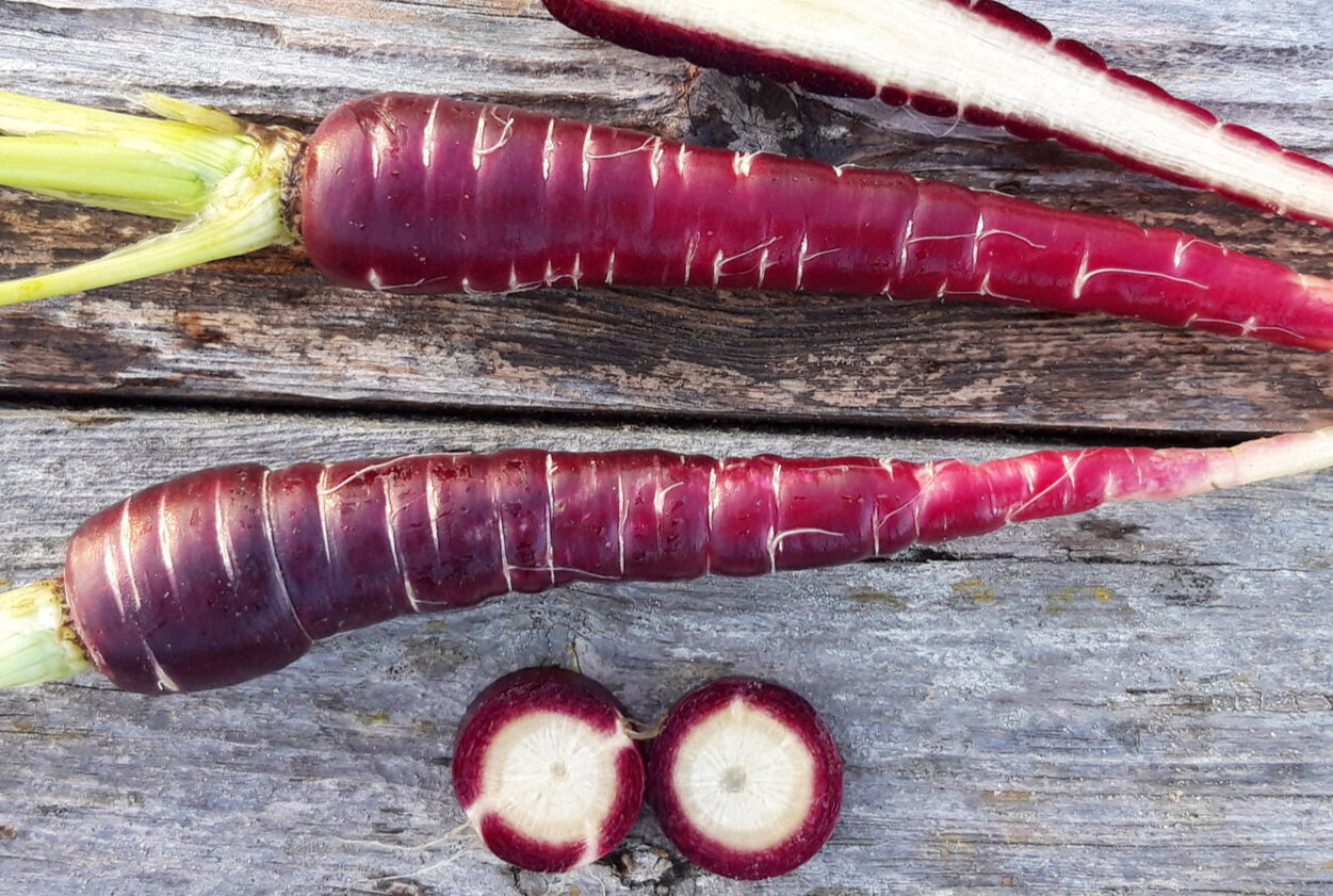 Zanahoria Morada Antigua 2,20 €