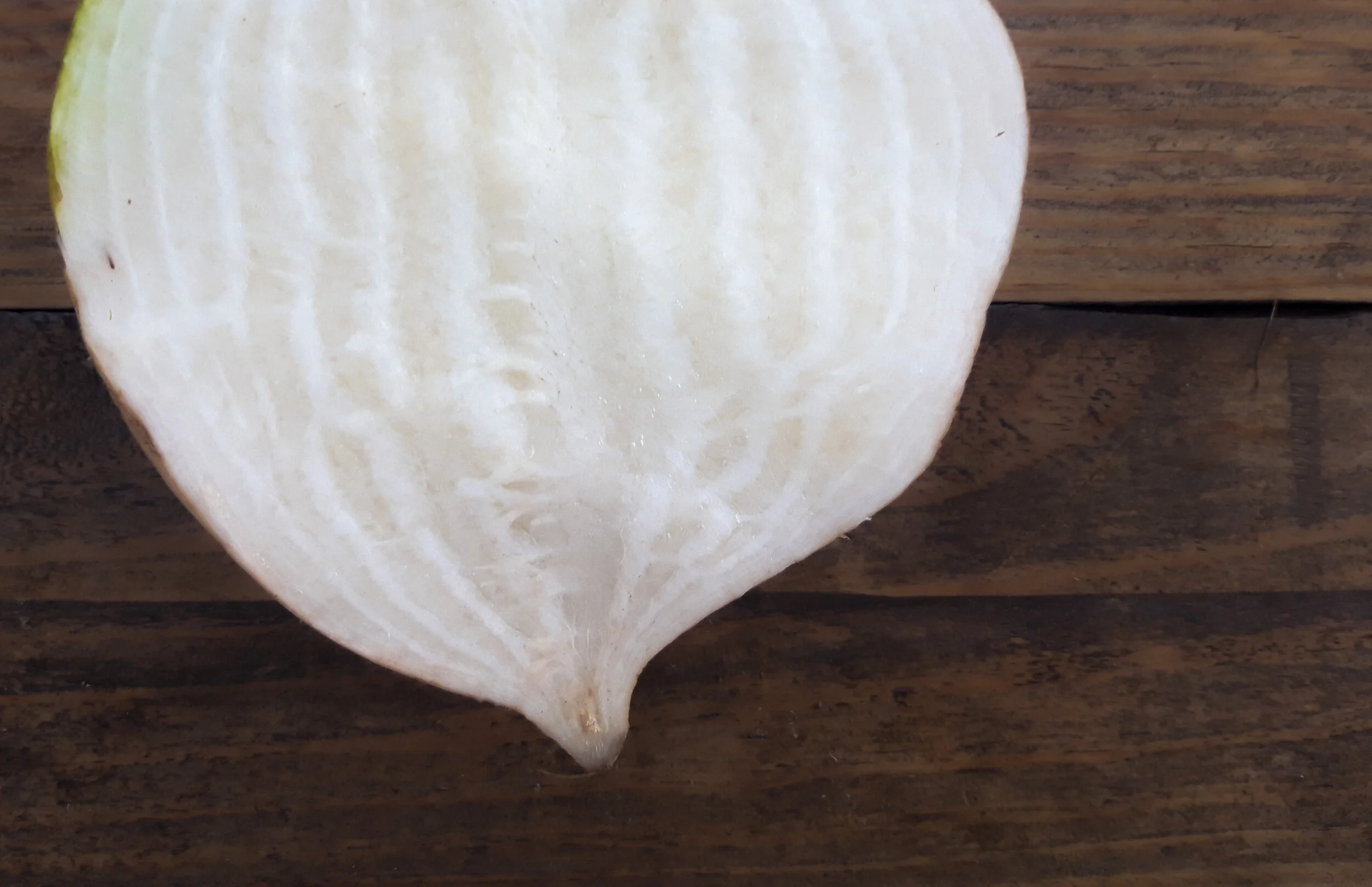 Remolacha_blanca_Navazo_Cultivo_Desterrado_Rafa_Monge.JPG