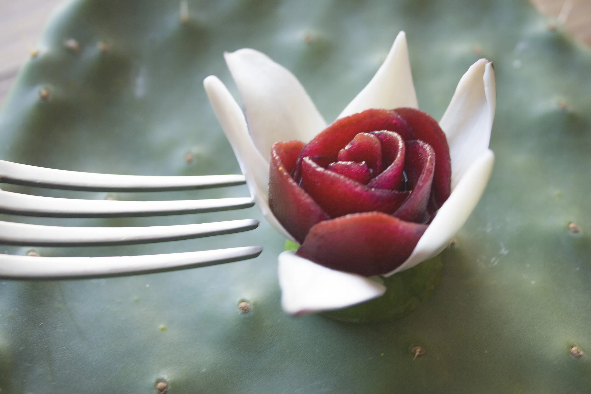 flor_18.JPG