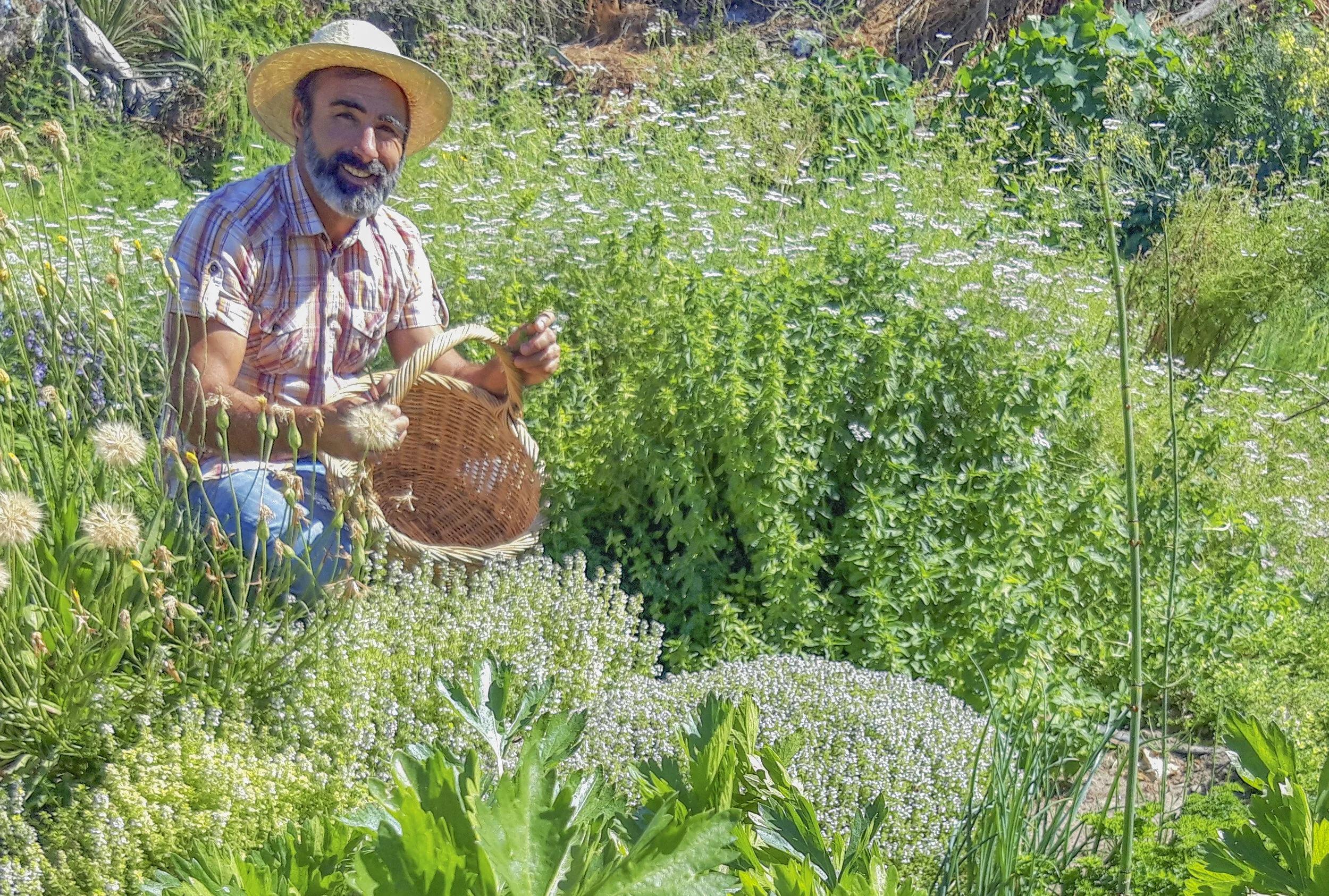 Aromáticas Mezcla Semanal