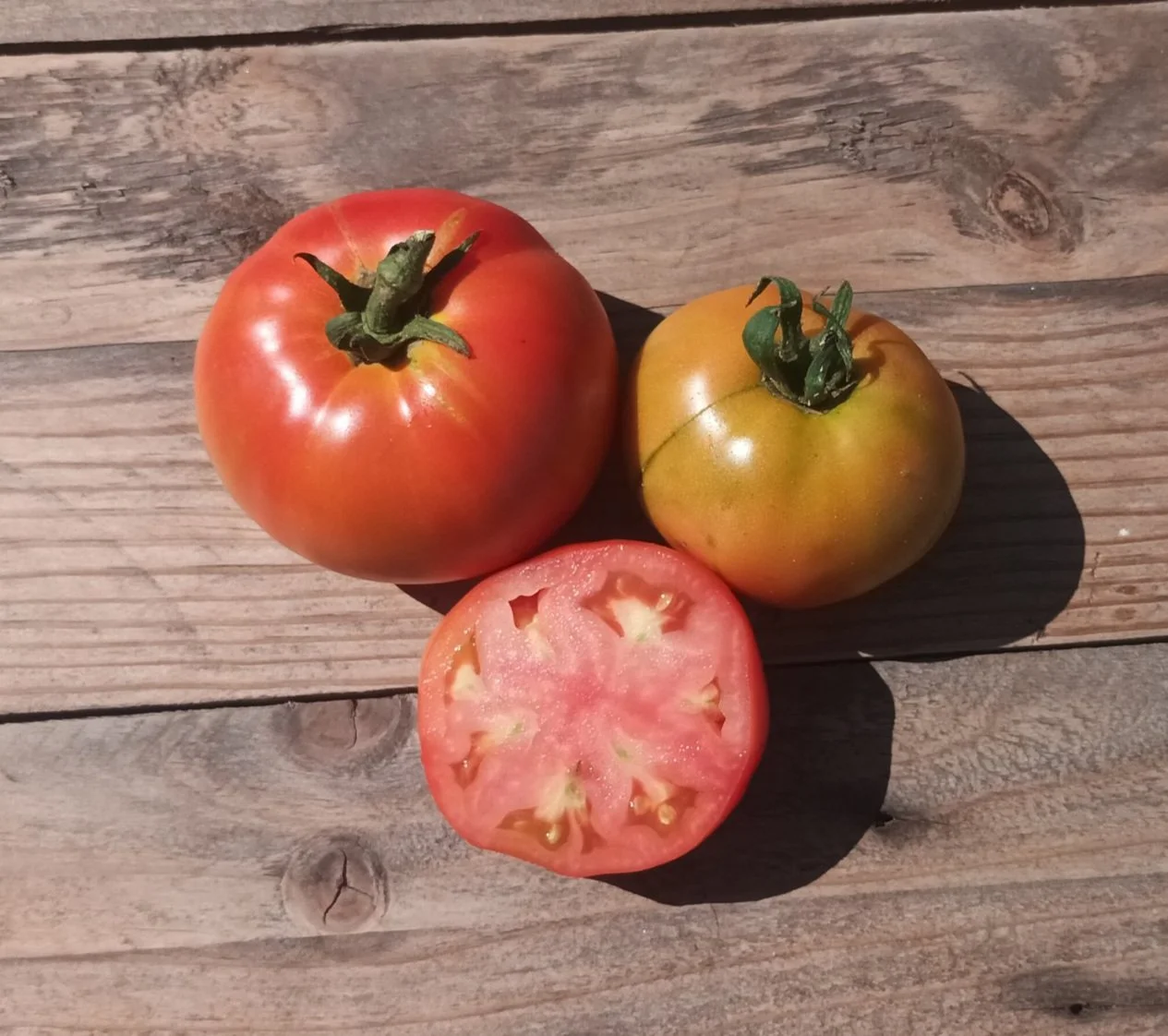 Tomate  de Navazo