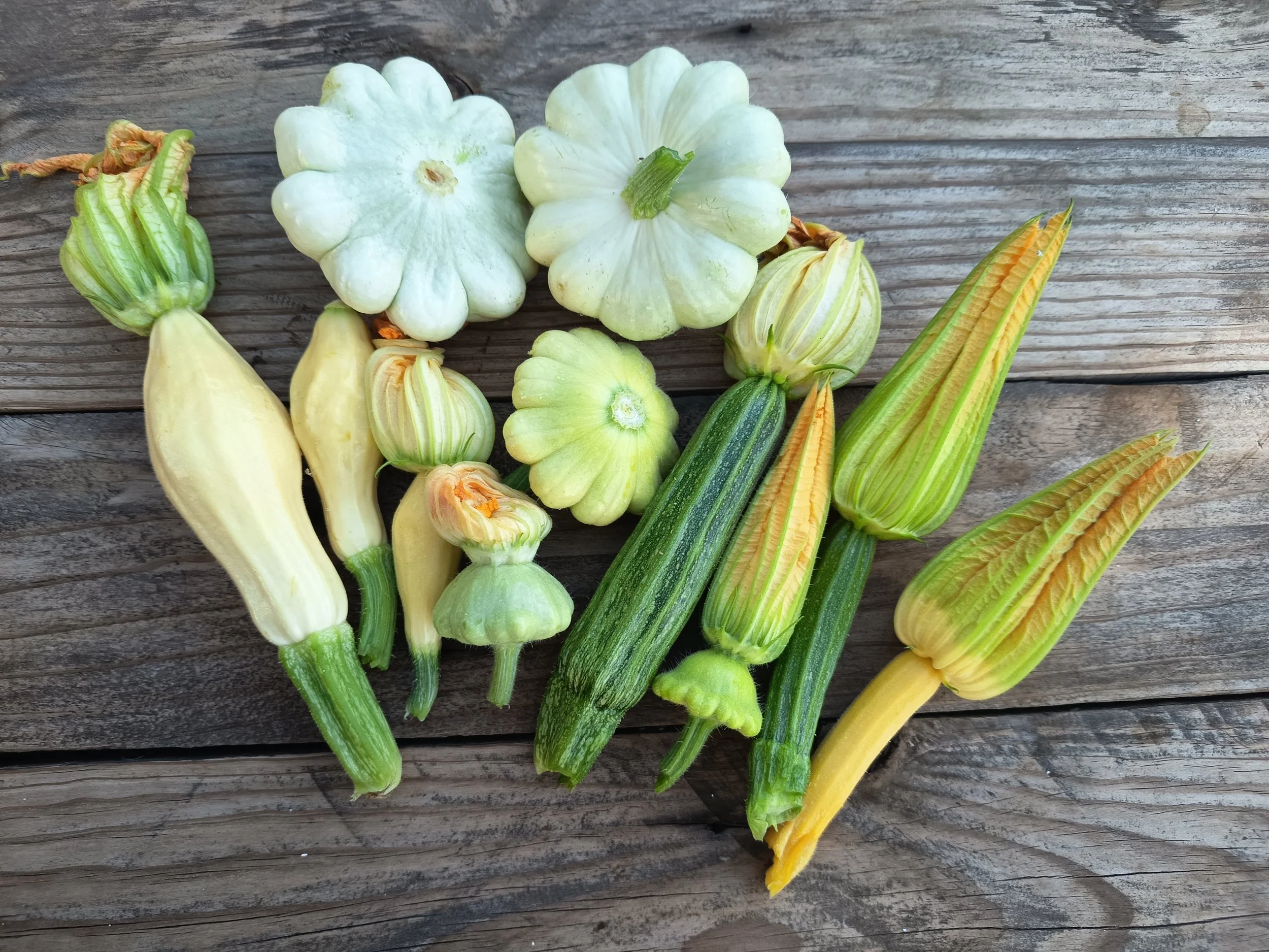 Surtido  Mezcla Variedades Calabacines