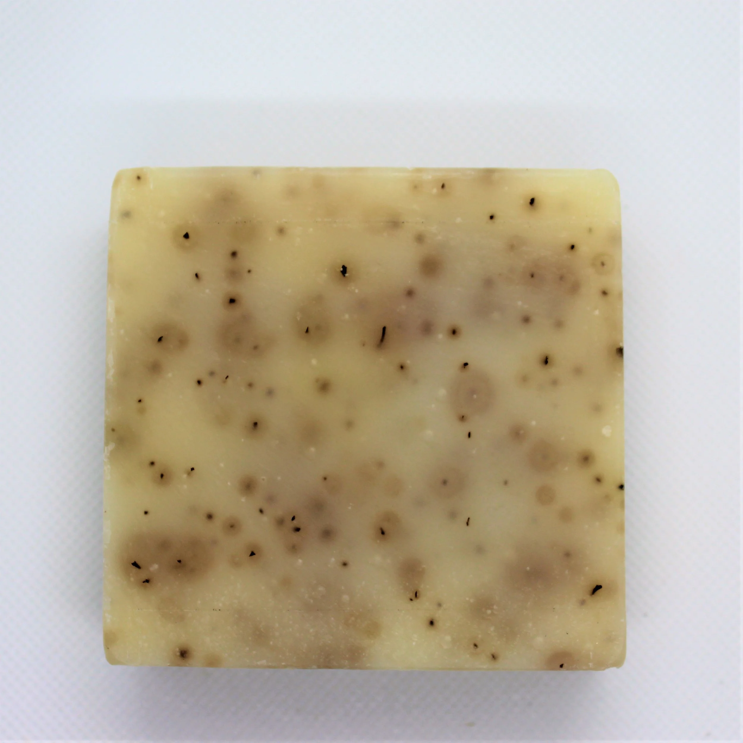 Eucalyptus Aloe Soap