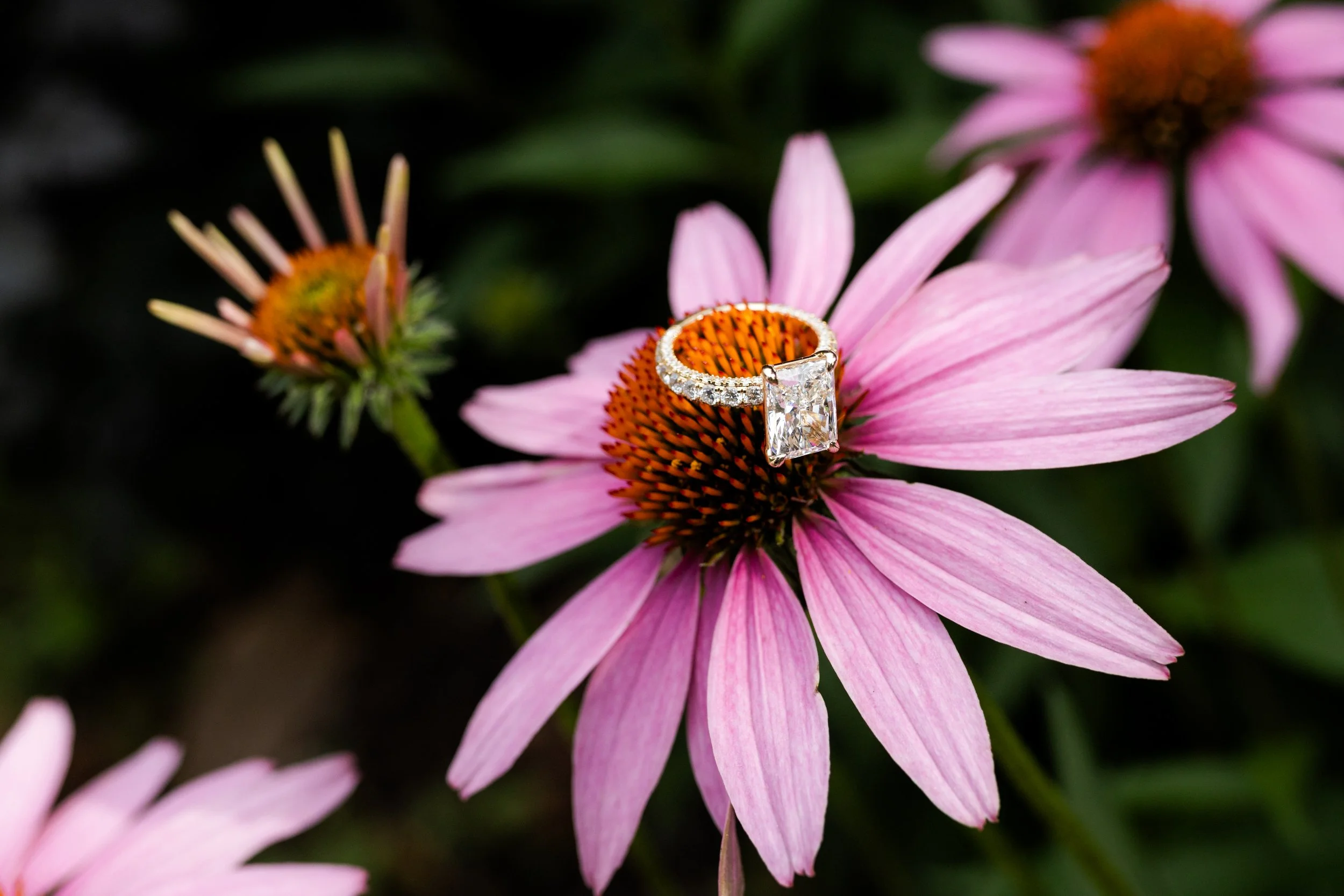 Lena + Basem_Engagement-93.jpg