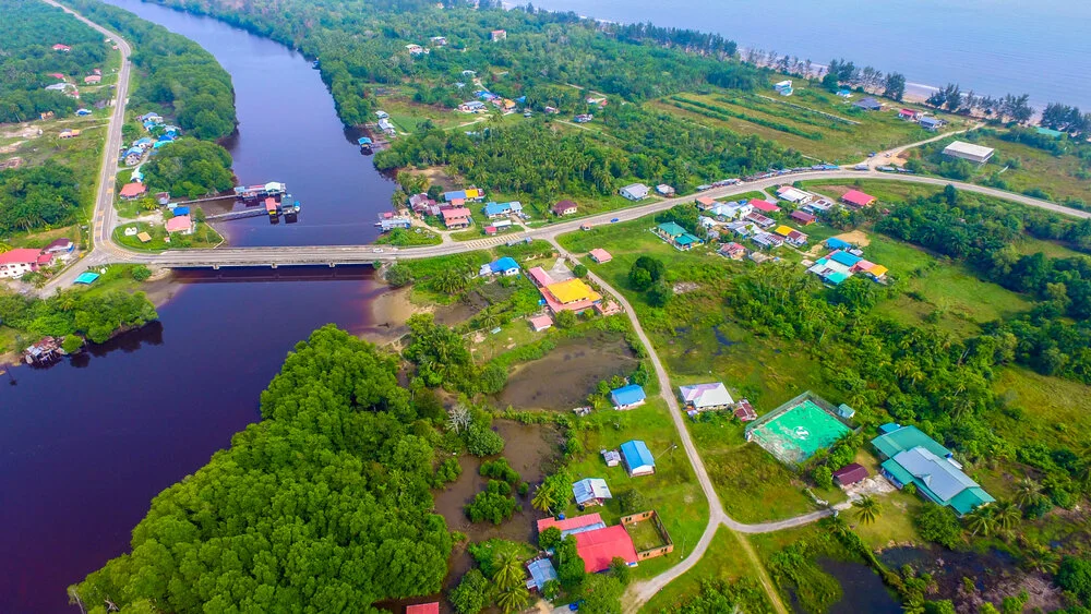 Vogel — Robert Slack