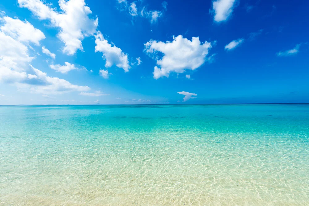 Laura Burrough Banner.jpg