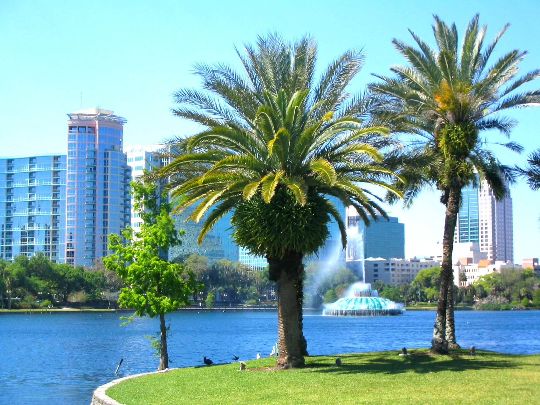 Orlando