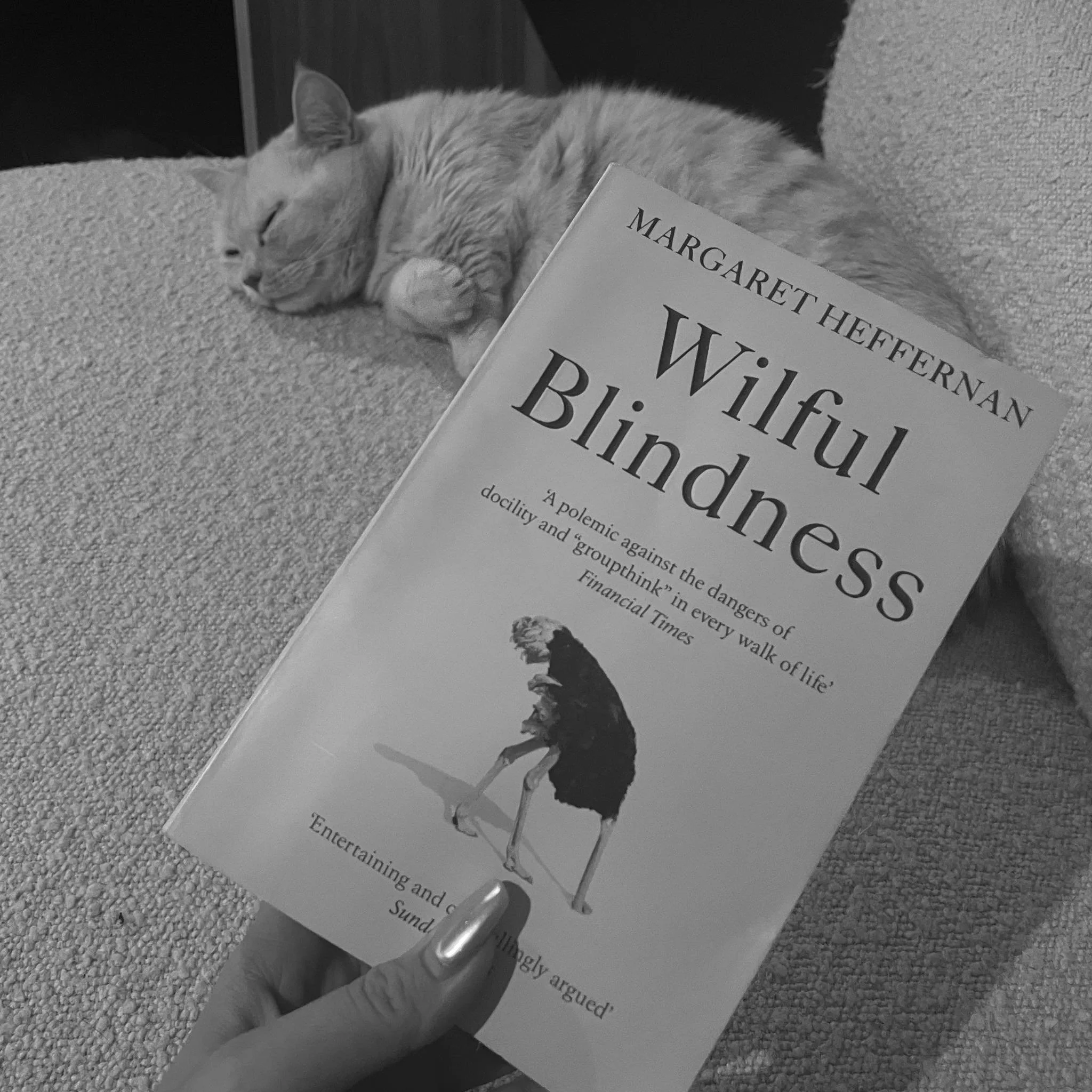 Wilful Blindness by Margaret Heffernan