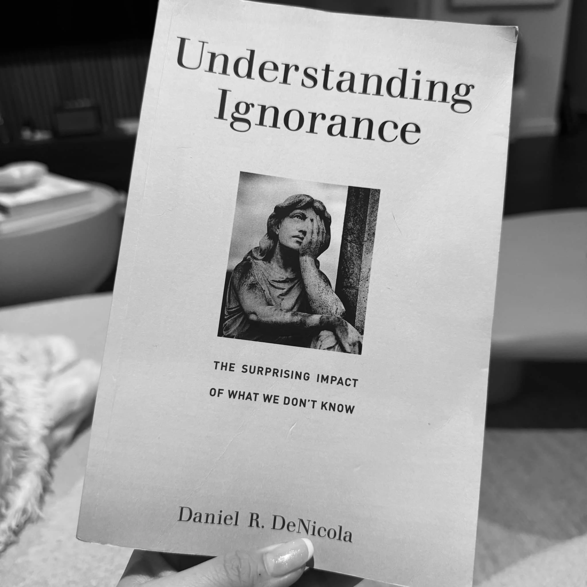 Understanding Ignorance by Daniel R. DeNicola