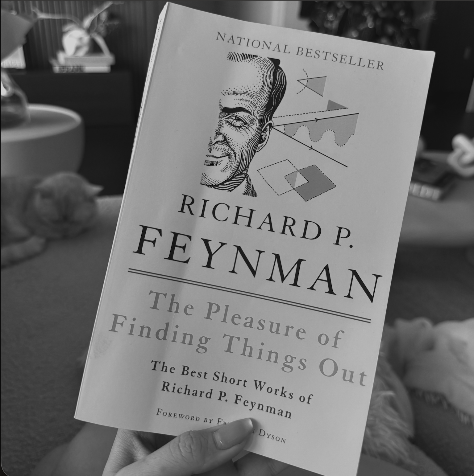 The Pleasure of Finding Things Out by Richard Feynman