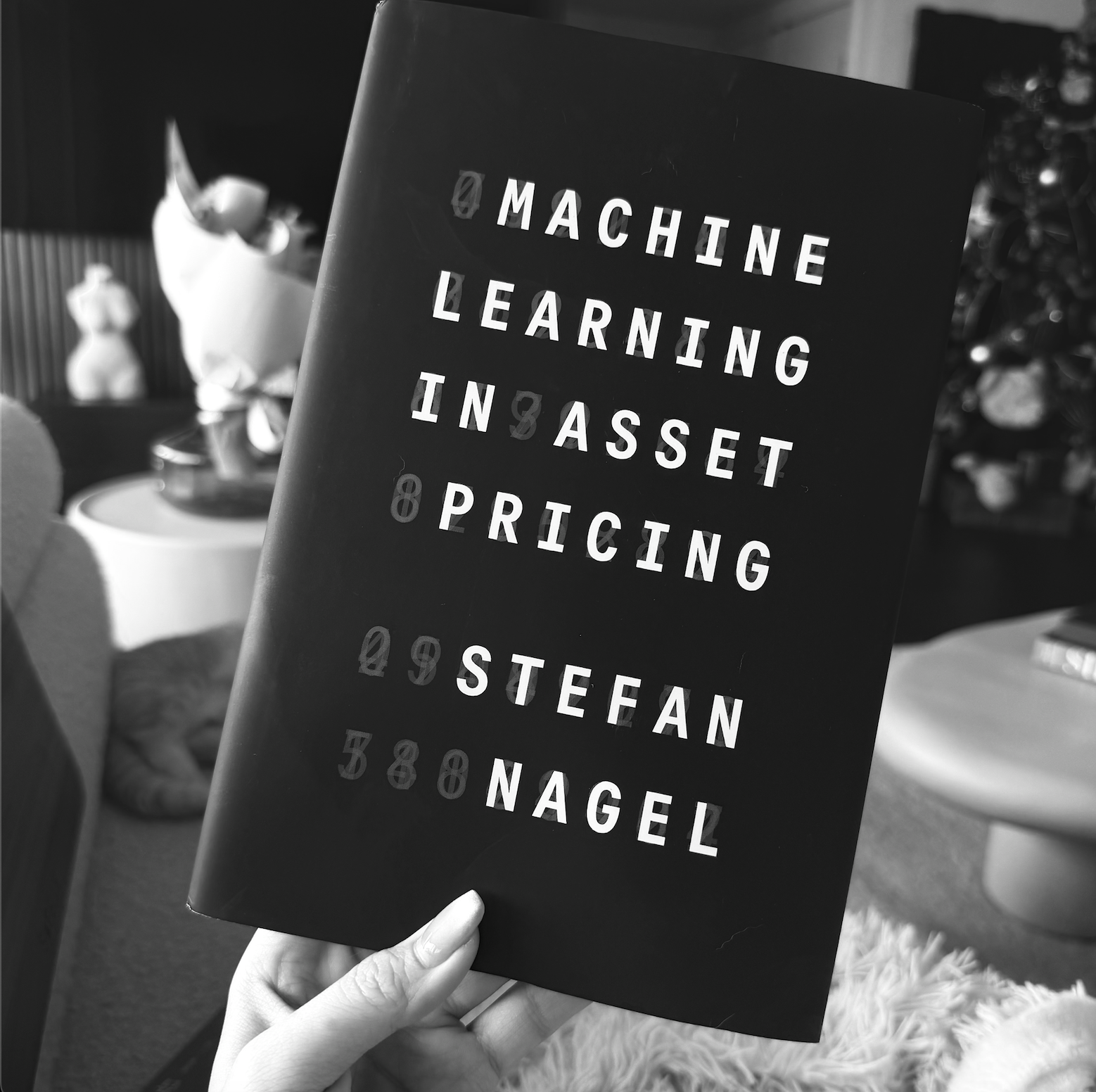 Machine Learning In Asset Pricing by Stefan Nagel