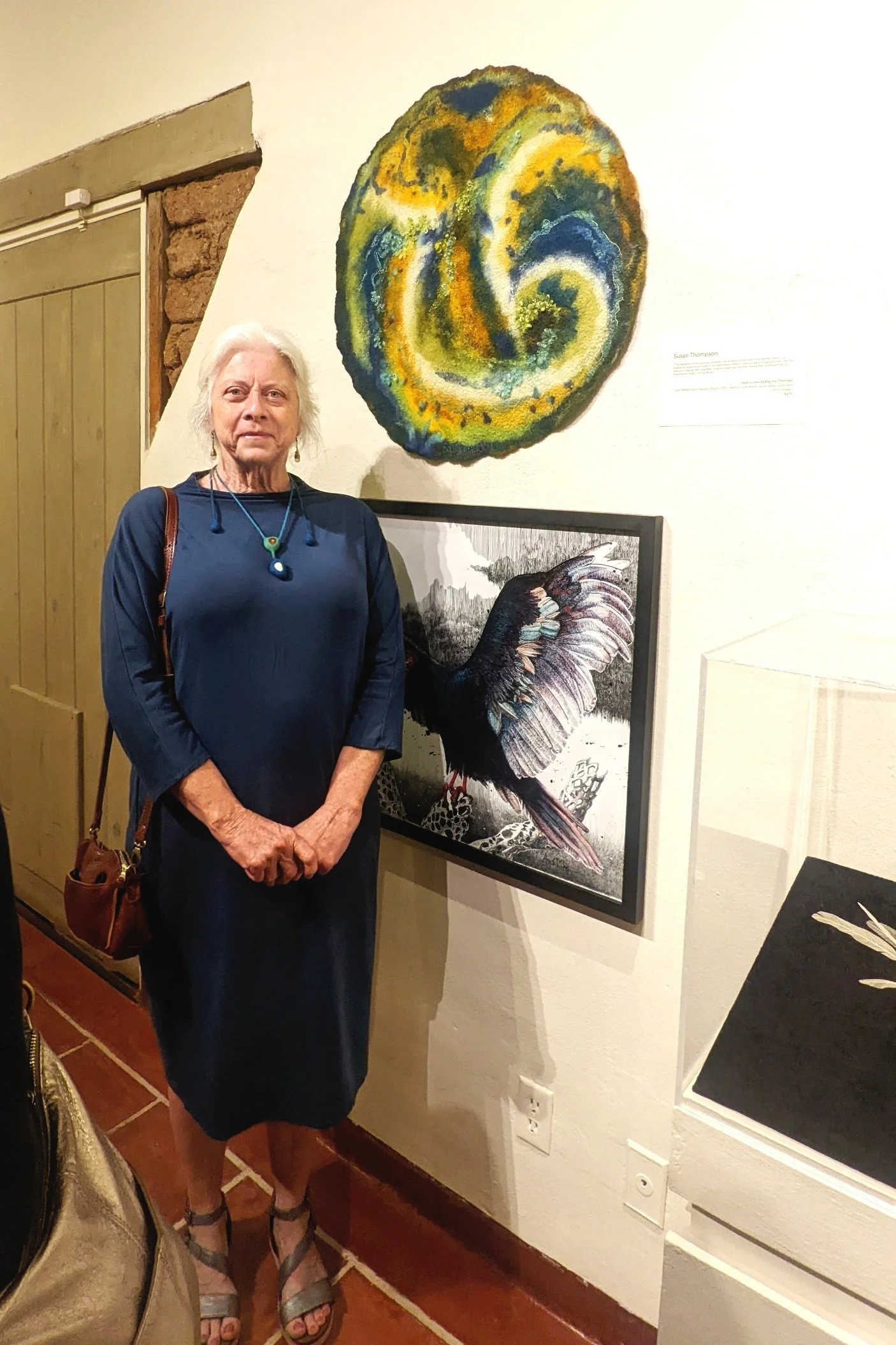 Hawk's View: Riding the Thermals on display at Tohono Chul until February 5, 2024