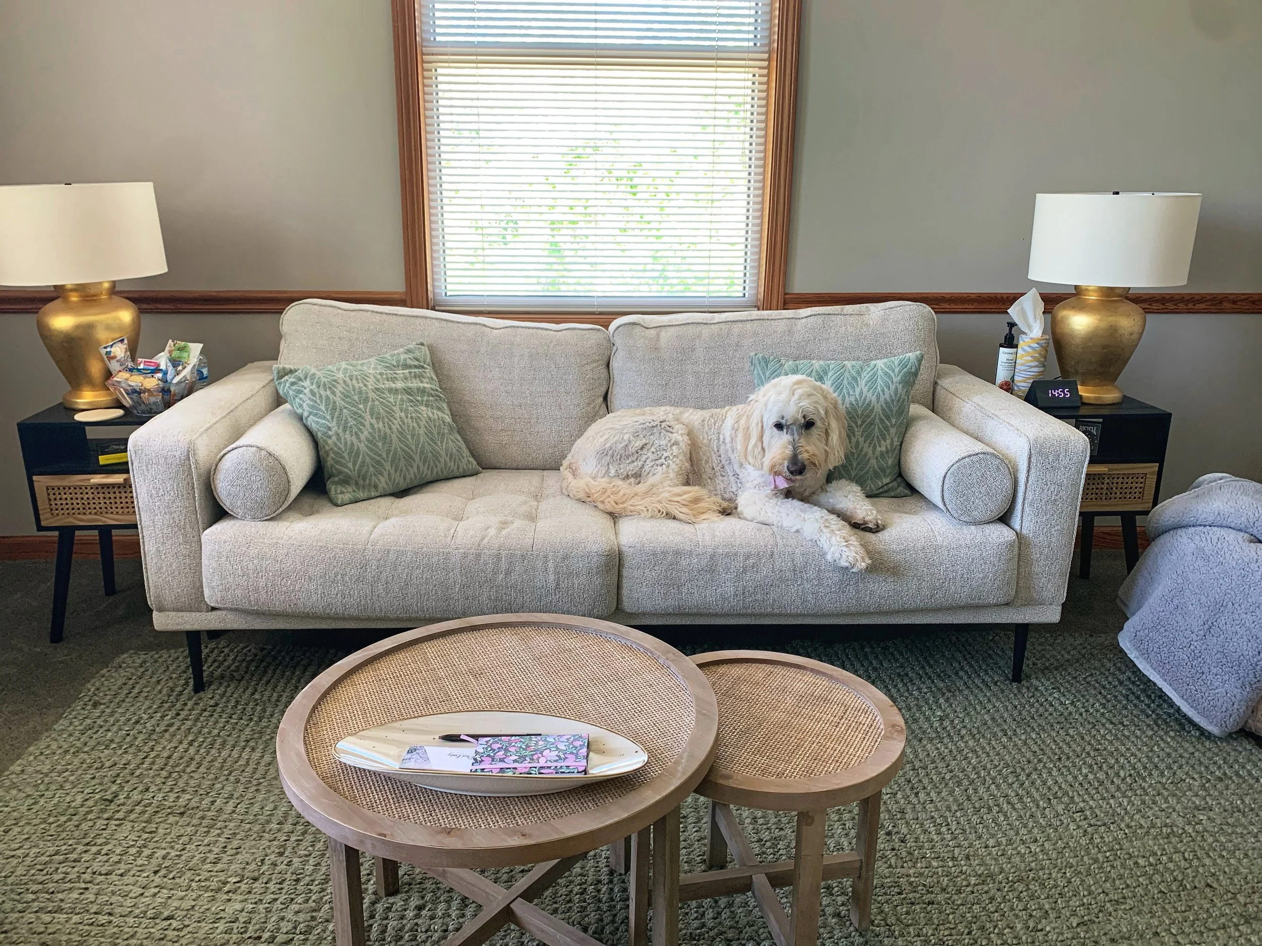 Peanut's Blog: What Happens In The Dietitian's Office?