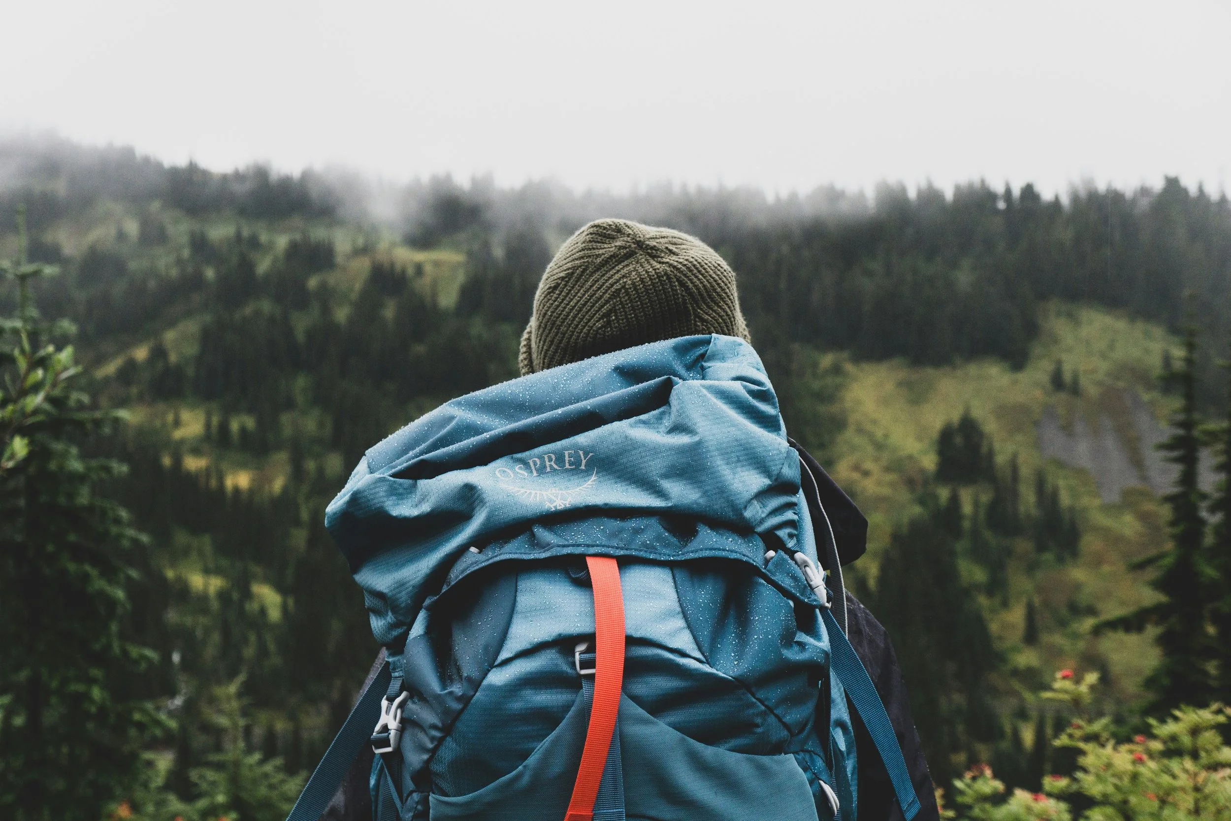 The False Peak &amp; The Long Haul: A Journey to Eating Disorder Recovery