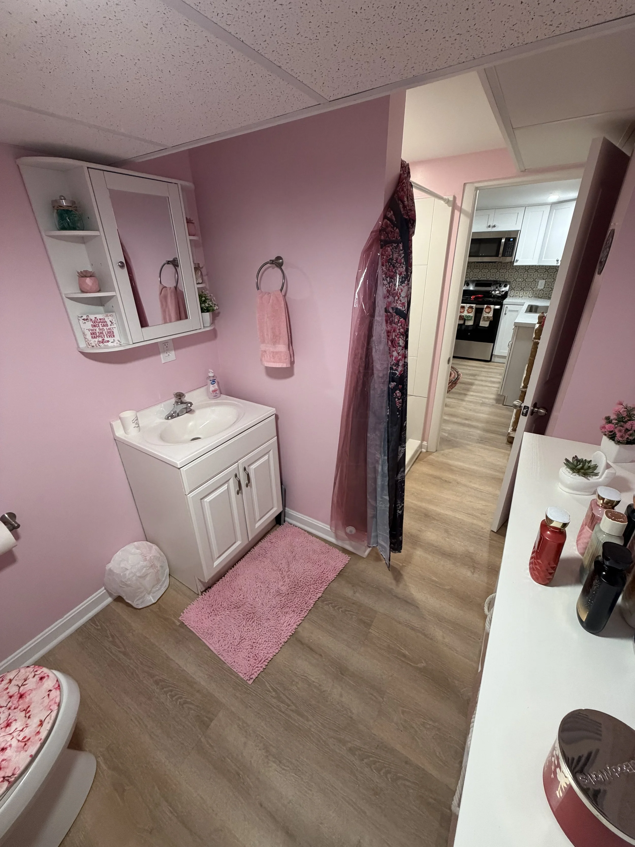  Basement Remodel w/ Full Bathroom 