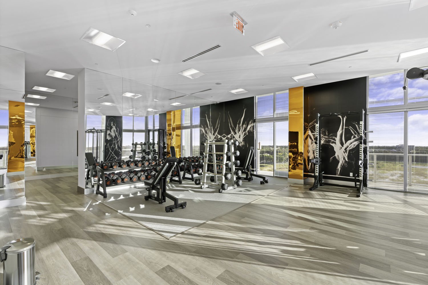 Gym 1.jpg