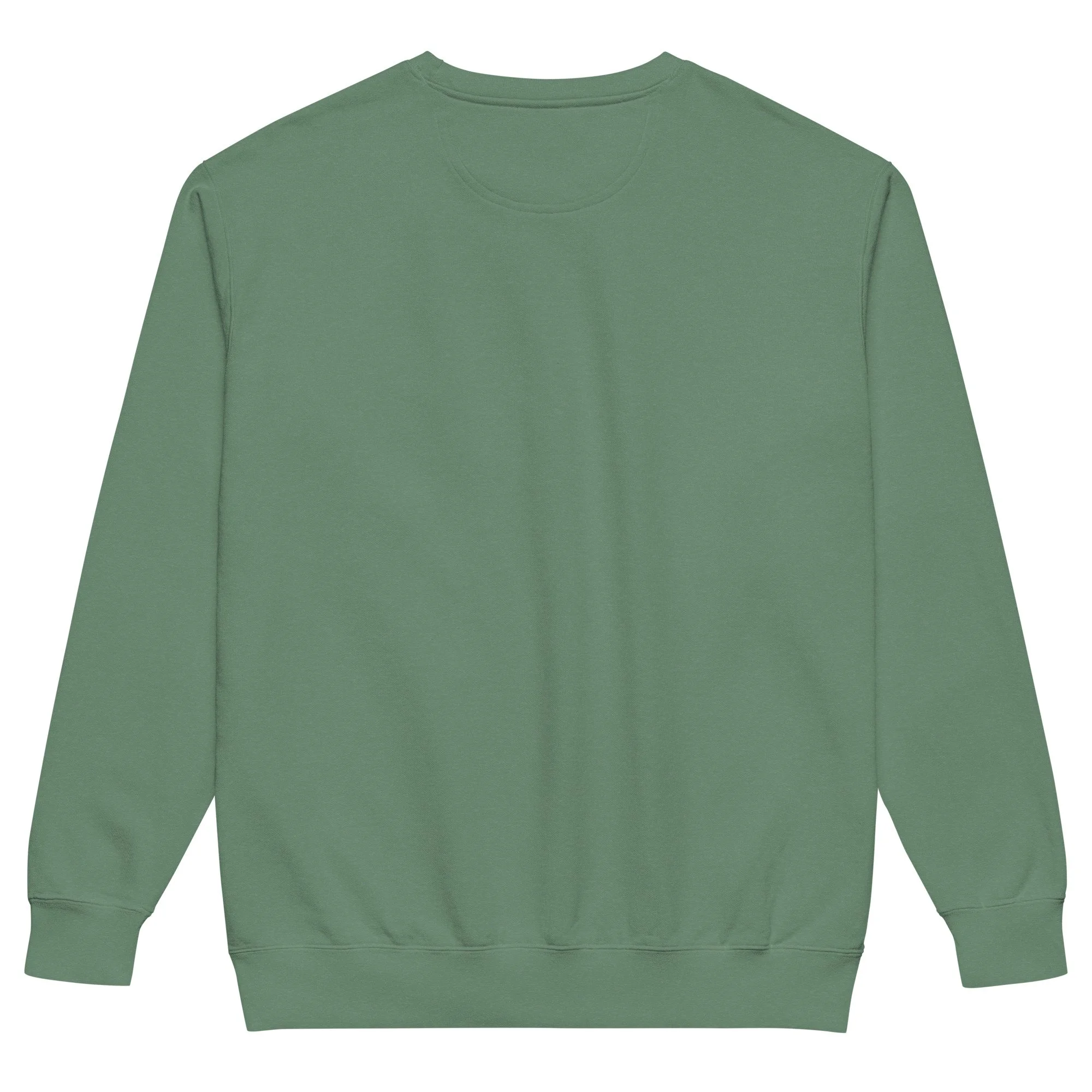unisex-garment-dyed-sweatshirt-light-green-back-68e9355578d15.jpg