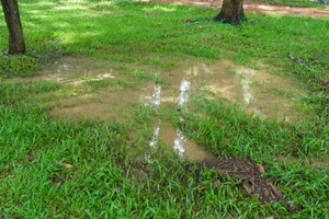 How Yard Drainage Issues Can Hurt Home Value | The Listing Team at RESF